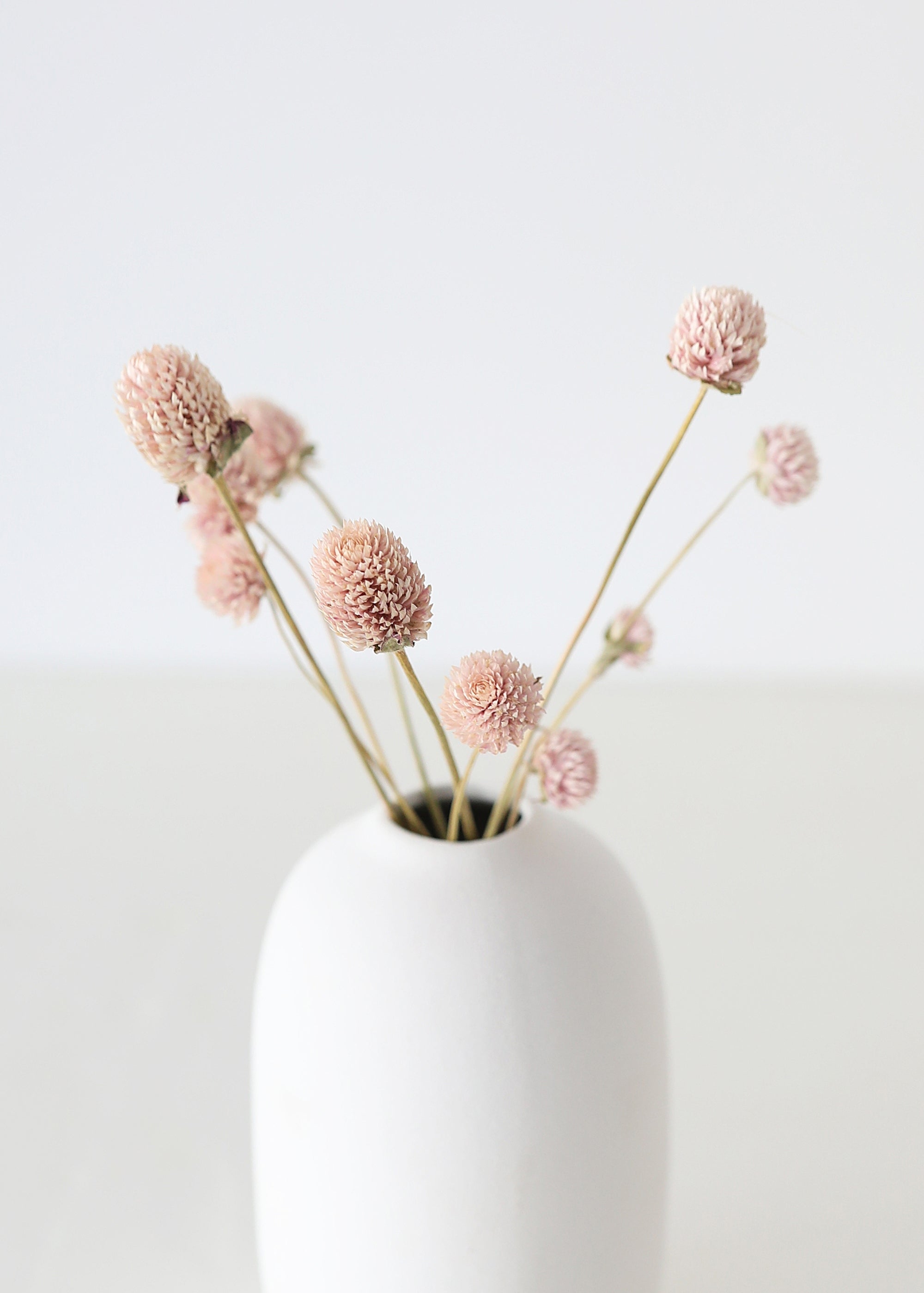 Air-dried Globe Amaranth Pink for Home Styling
