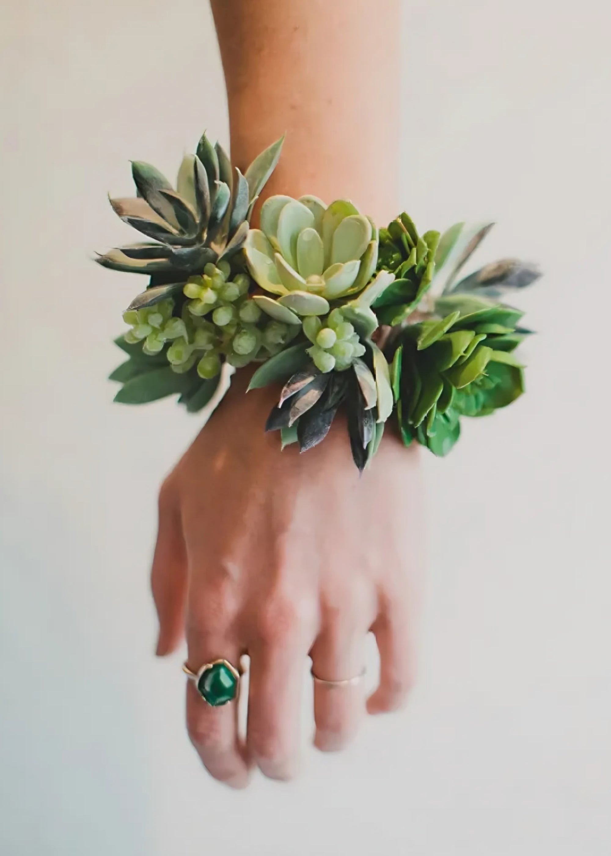 Real Touch Succulent Plant for Planters and Shelves