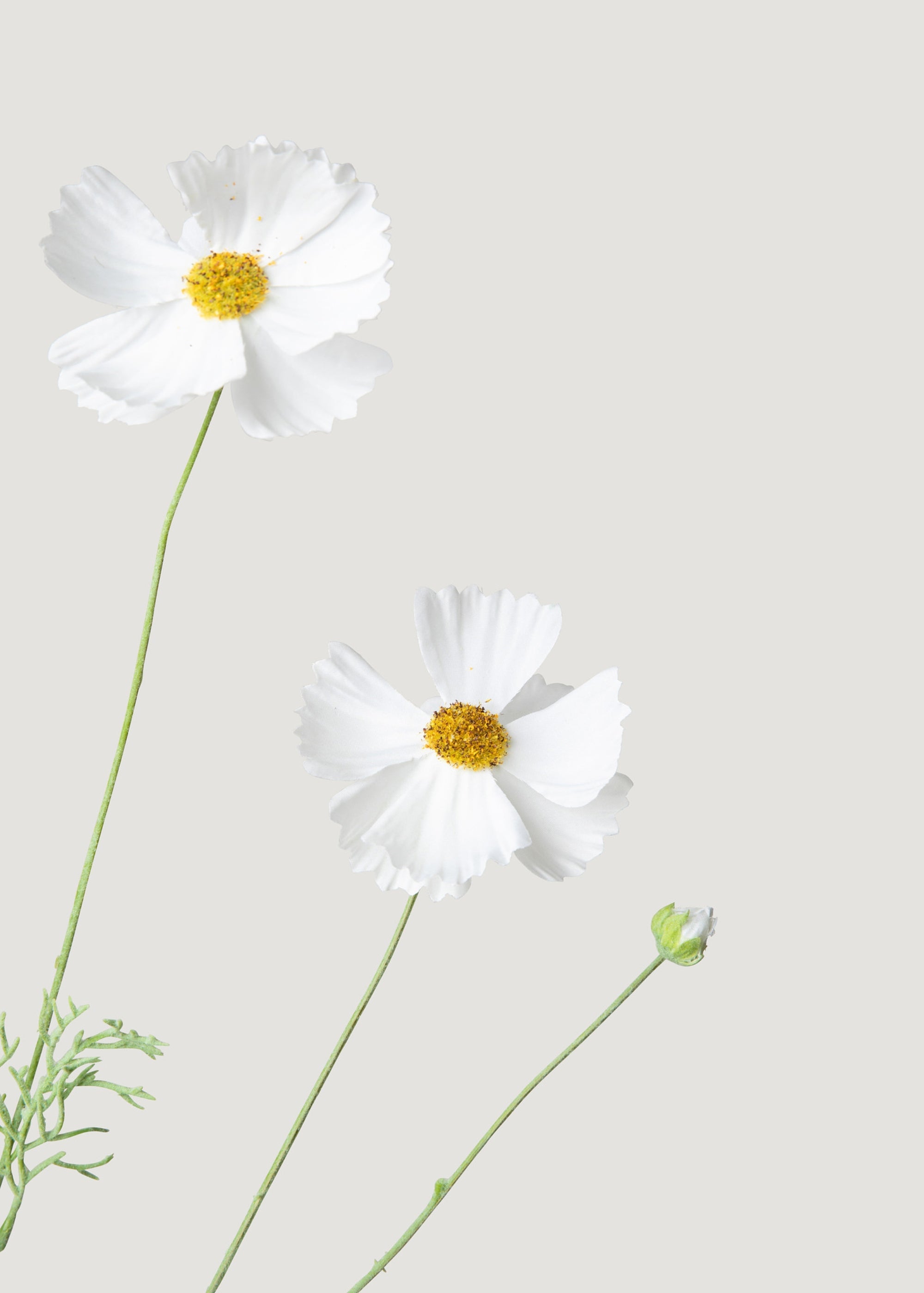 White Faux Cosmos, Daisy Stem for Vase and Wedding Styling