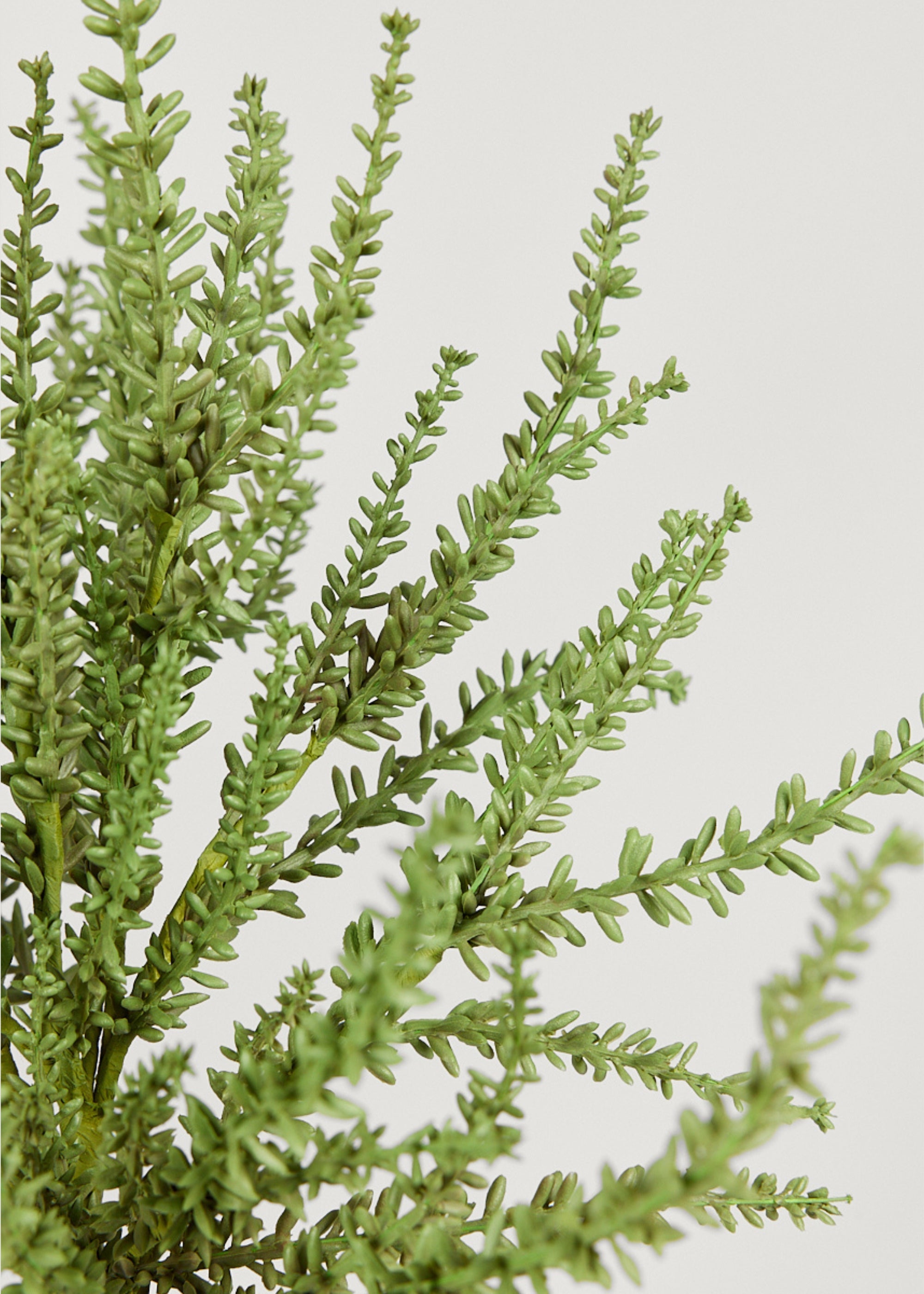 Faux Succulent Bush for Vase Styling