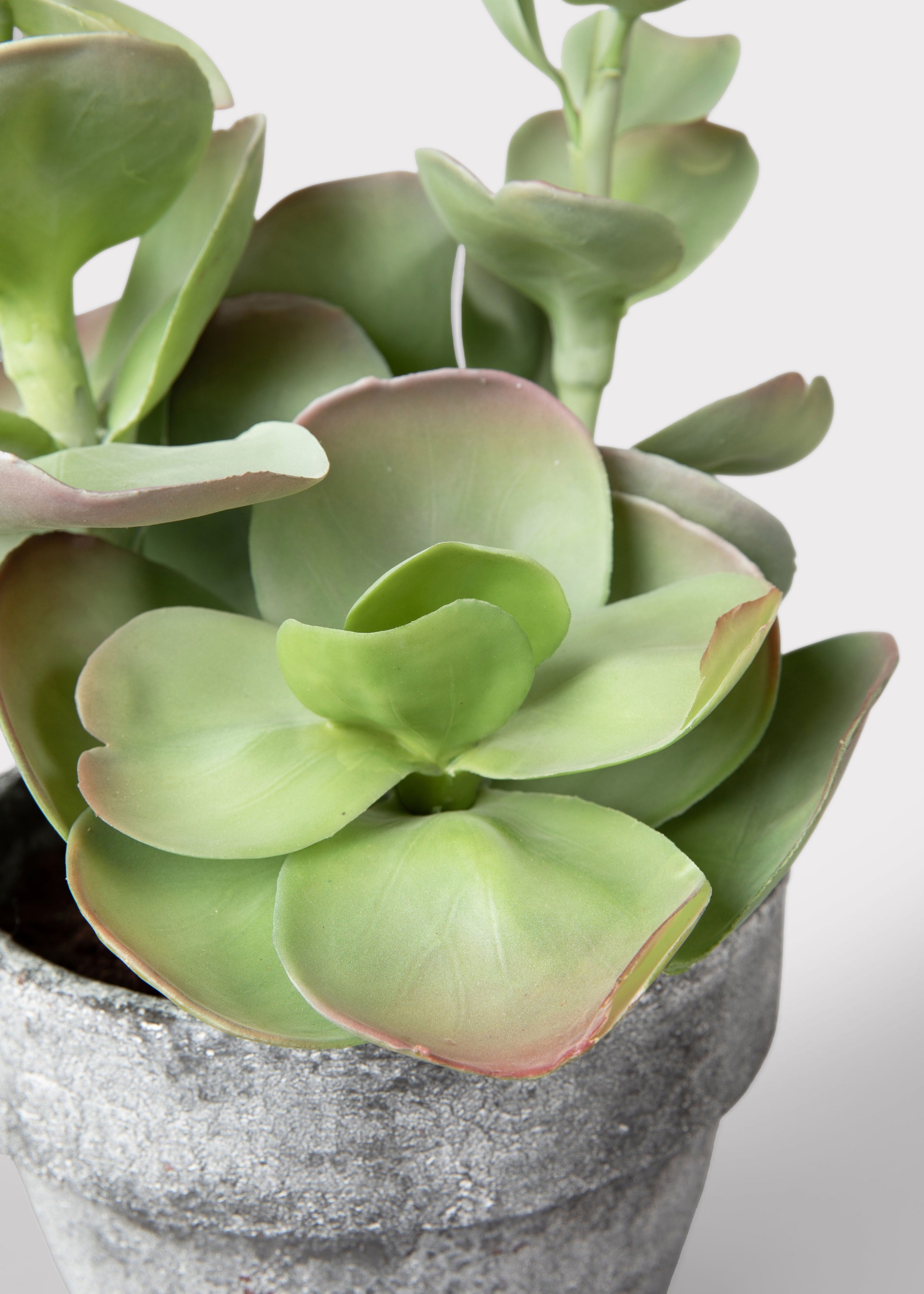 Faux Succulent Arrangement for Home Decor
