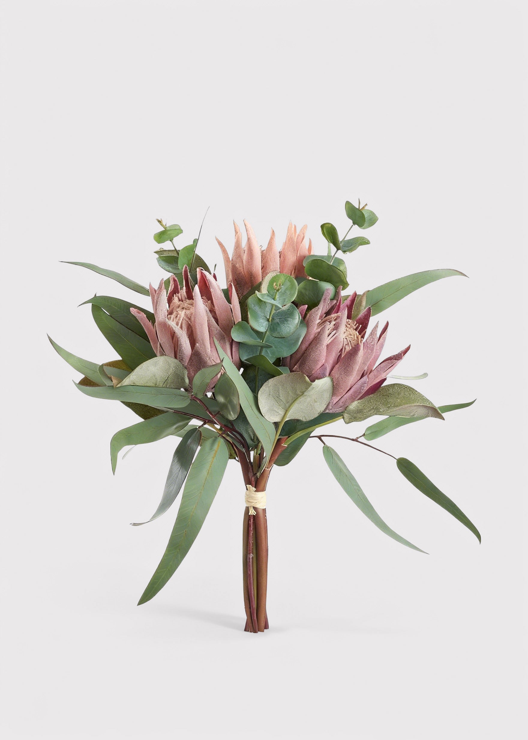 Mauve Protea, Eucalyptus for Home Styling