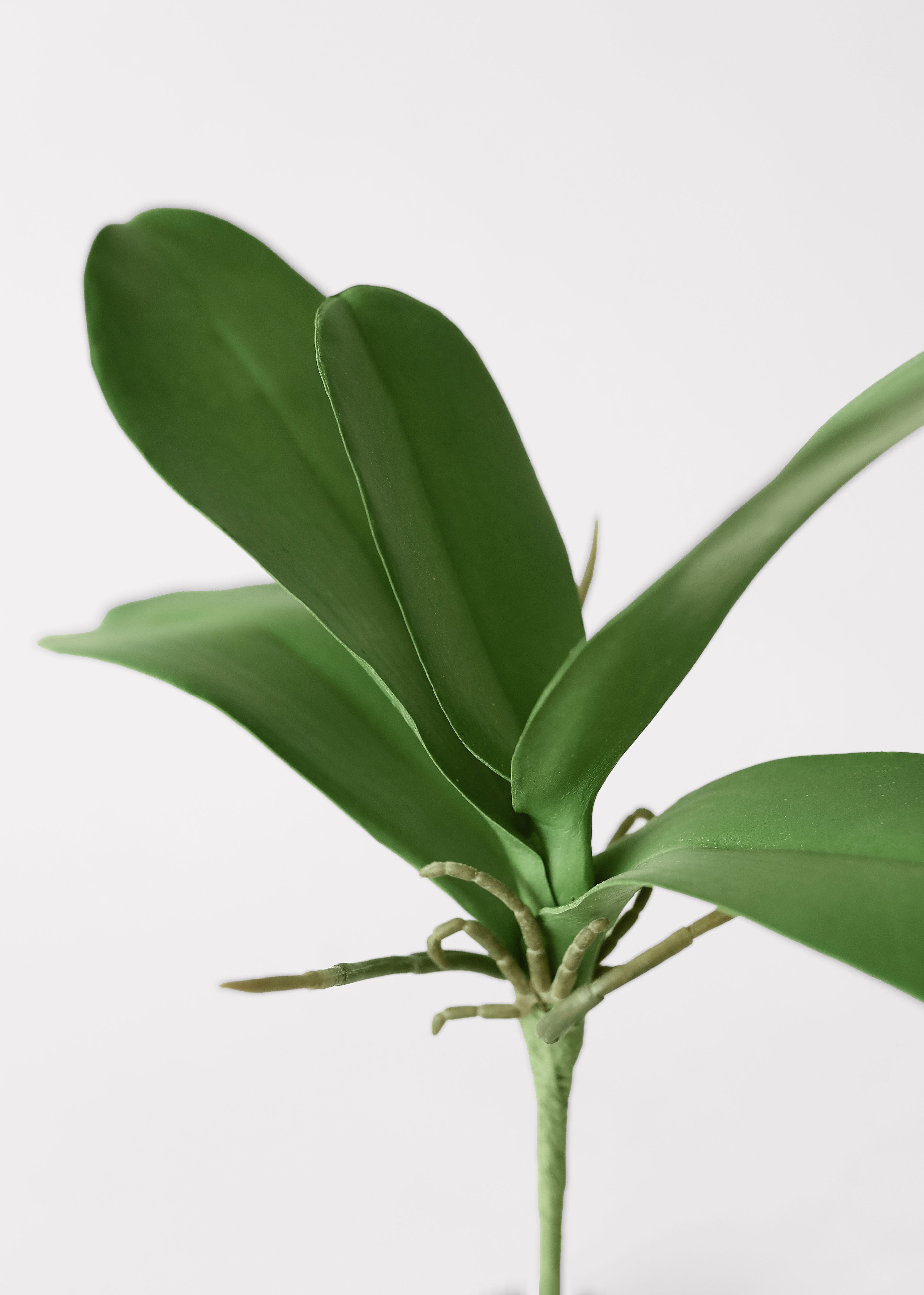 Faux Orchid Stem for Vase Styling