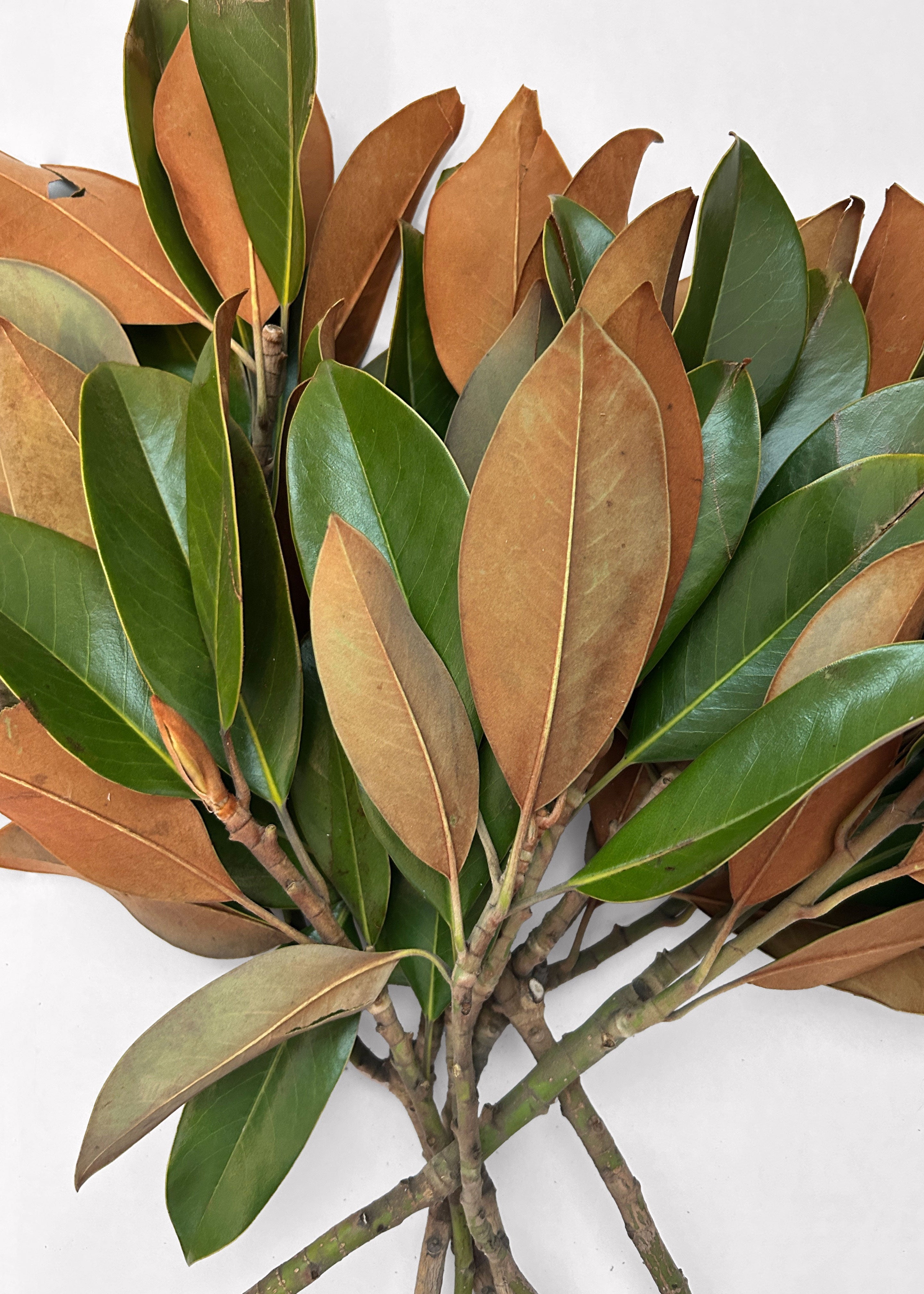 Faux Magnolia Bundle for Vase Styling
