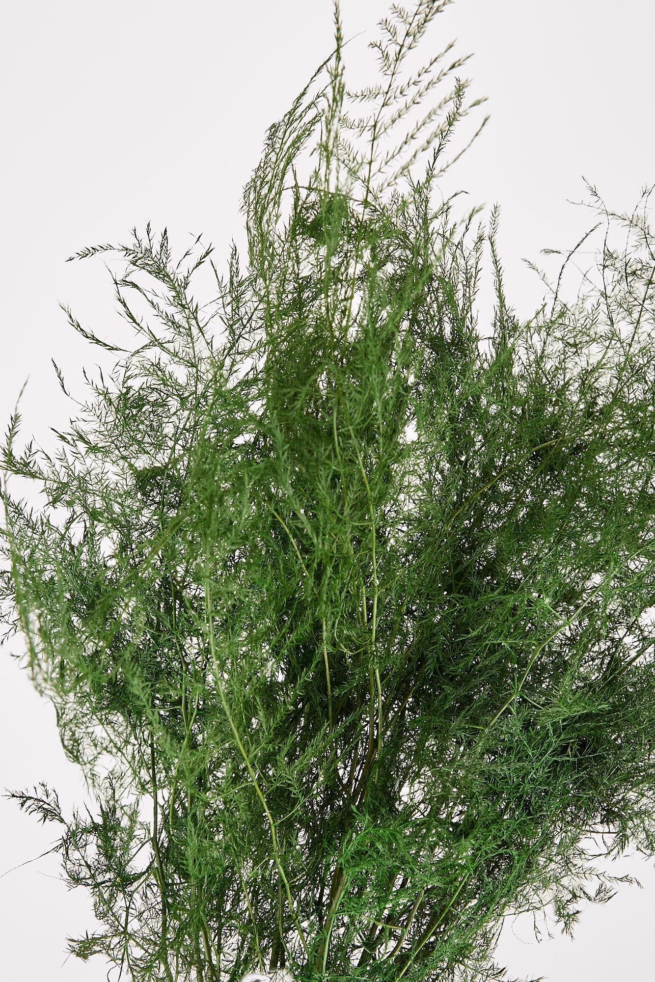 Faux Fern Bundle for Vase Styling