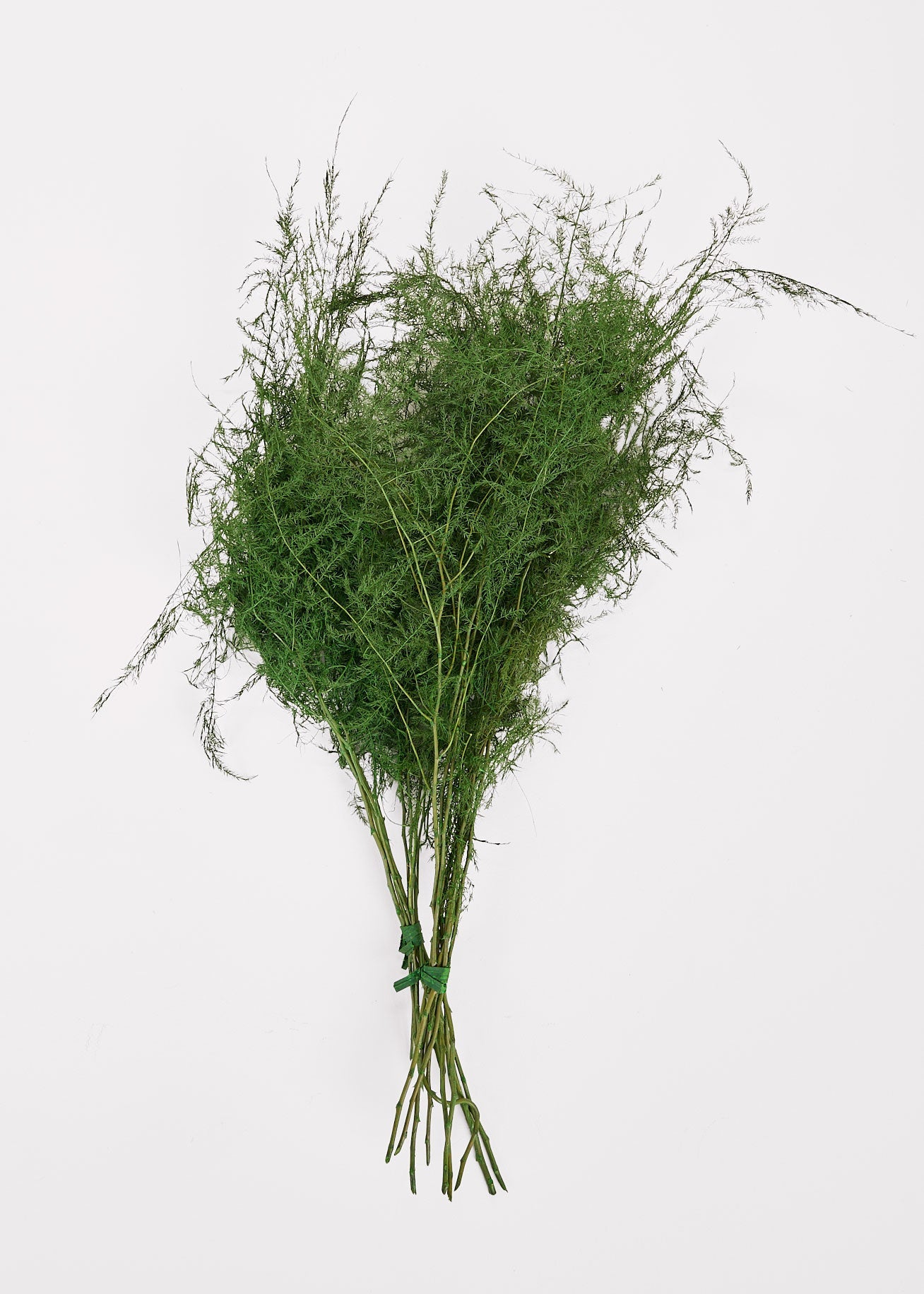 Faux Fern Bundle for Vase Styling