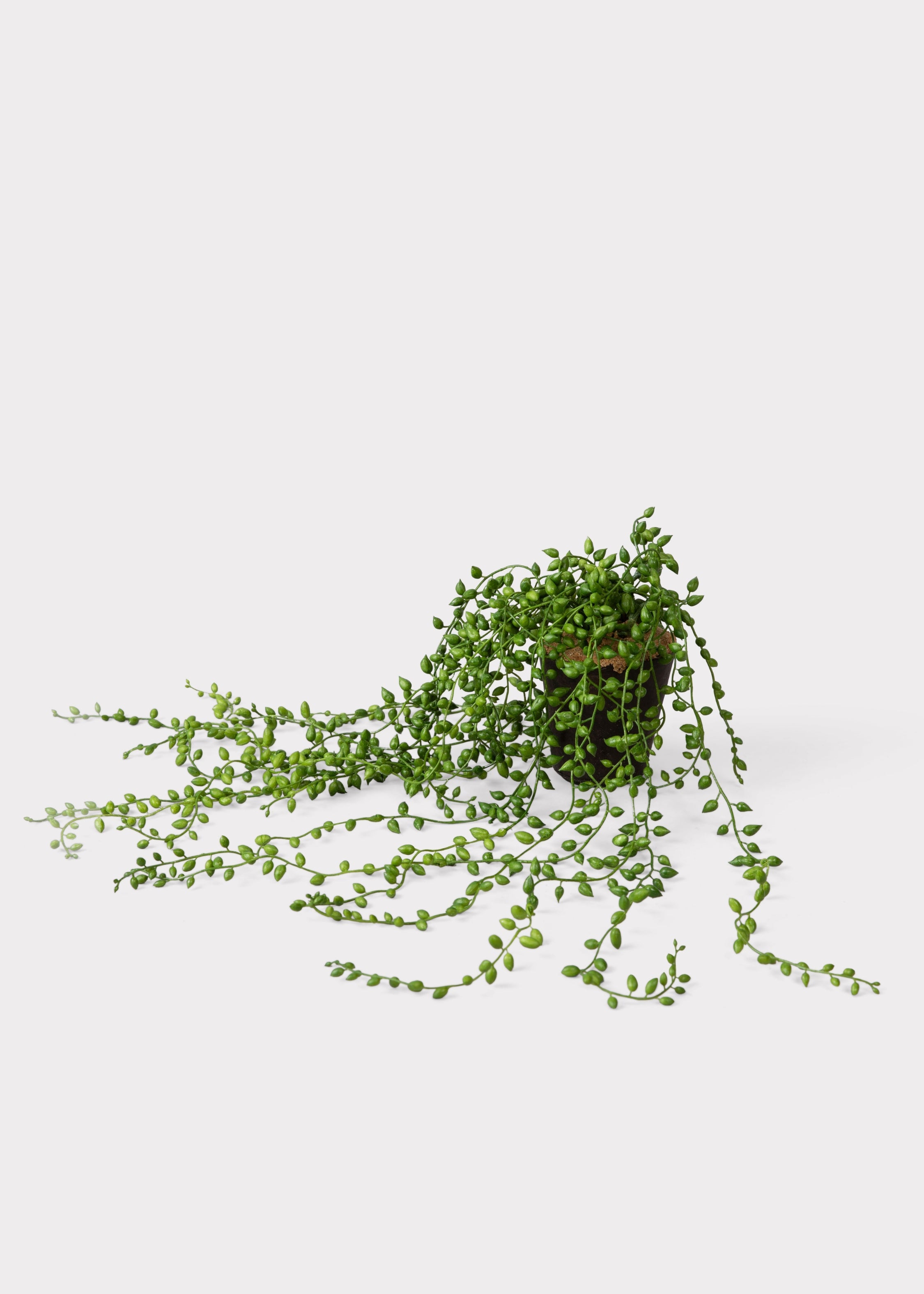 Faux Succulent Plant for Planters and Shelves