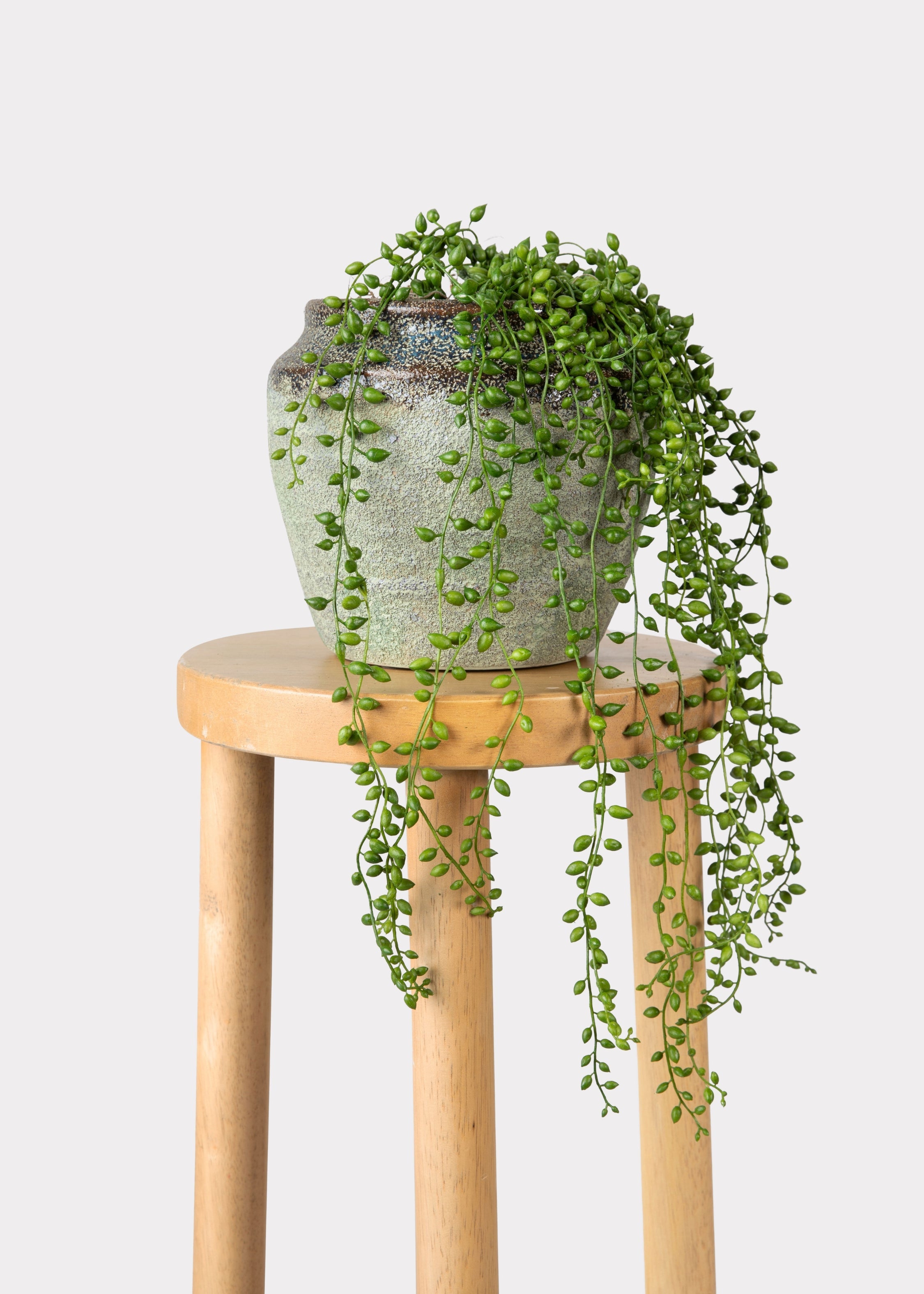 Faux Succulent Plant for Planters and Shelves