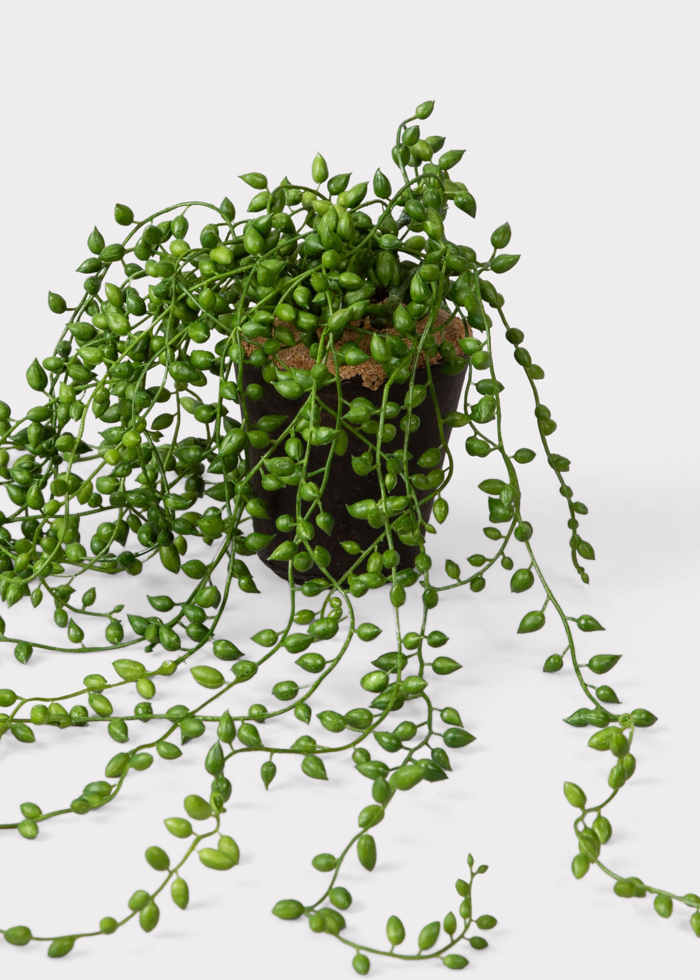 Faux Succulent Plant for Planters and Shelves