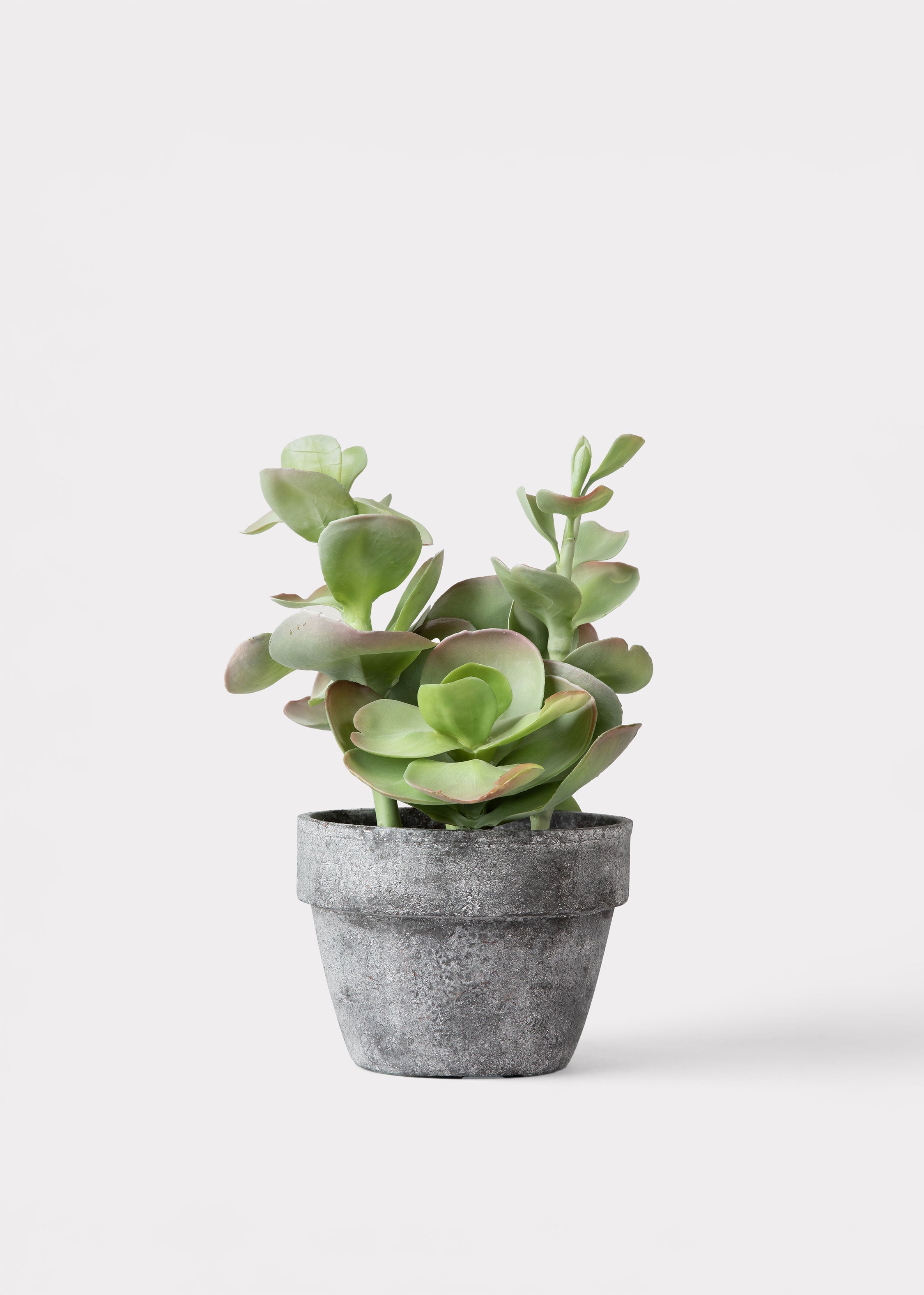 Faux Succulent Arrangement for Home Decor