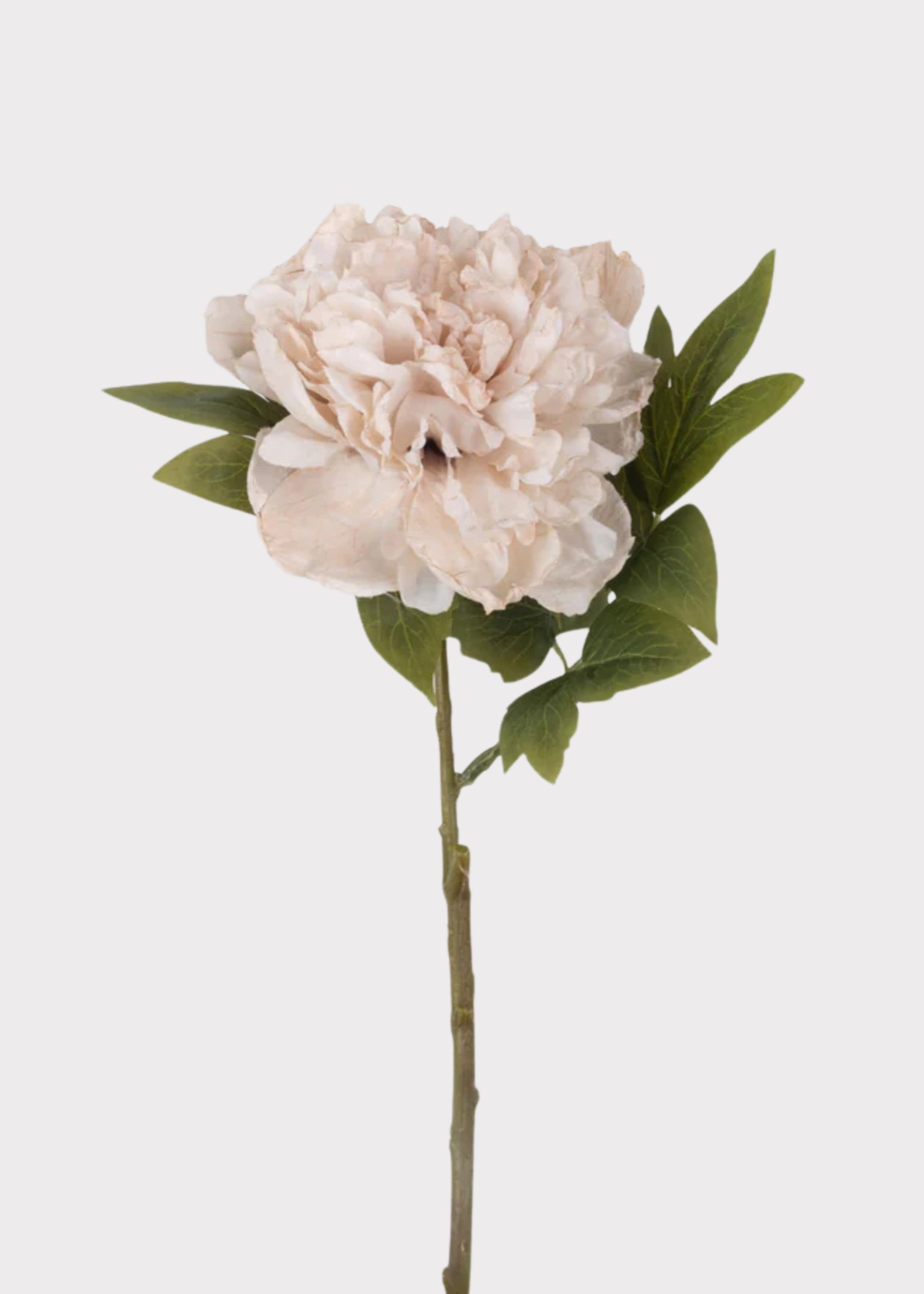 Beige Blush Faux Peony Stem for Vase and Wedding Styling