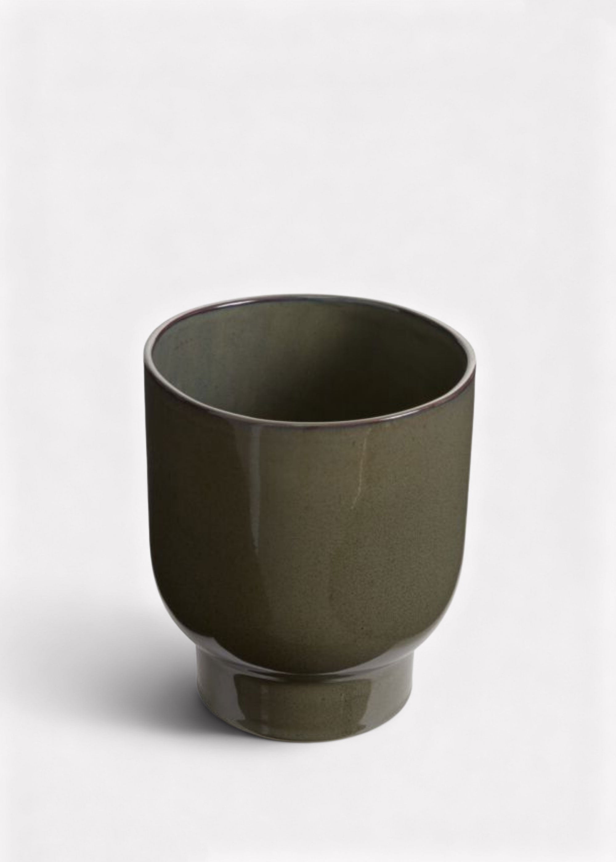 Green Faux Olive Plant for Planters and Shelves
