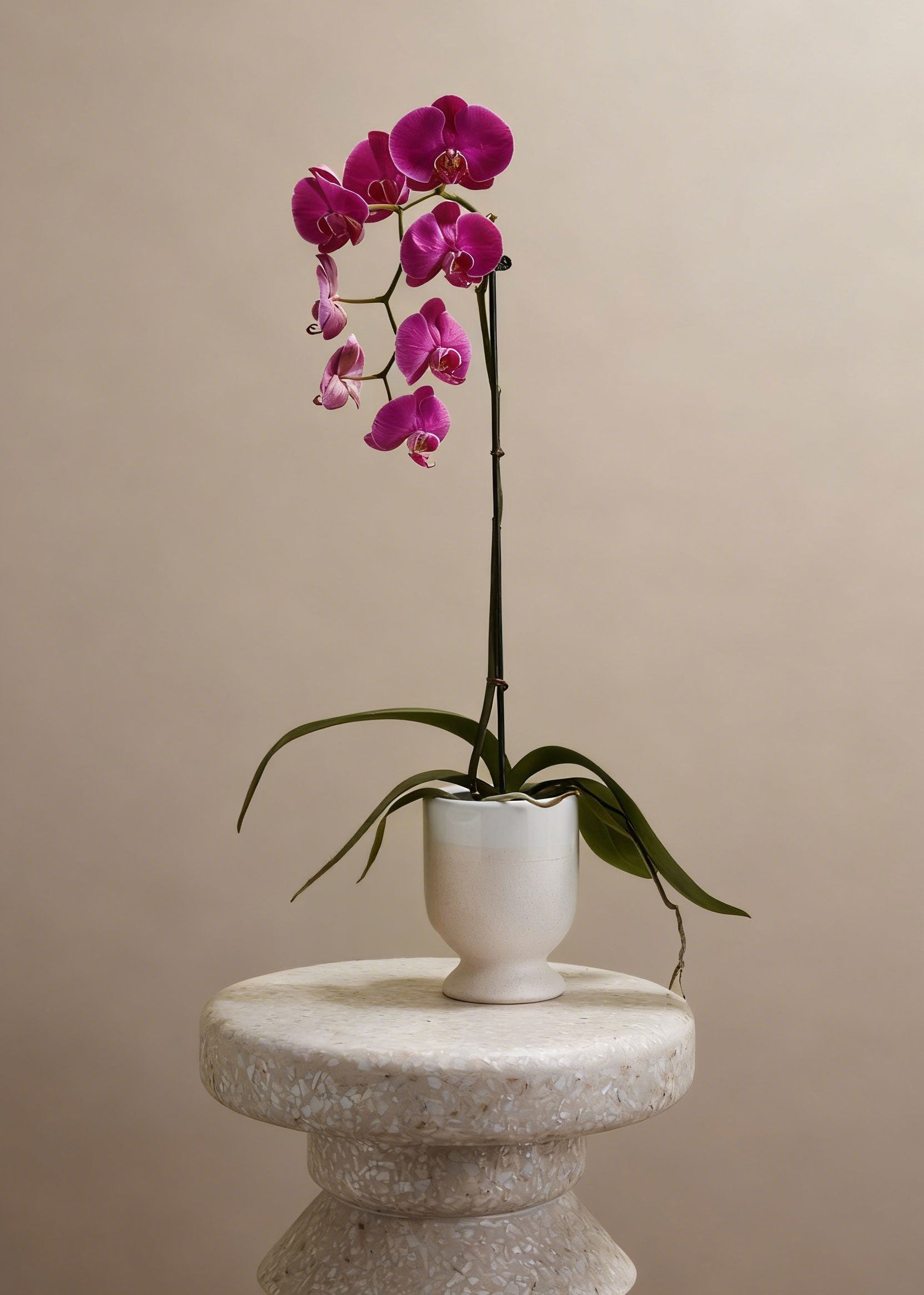 Footed Ceramic Laney Speckled White Vase for Floral Styling