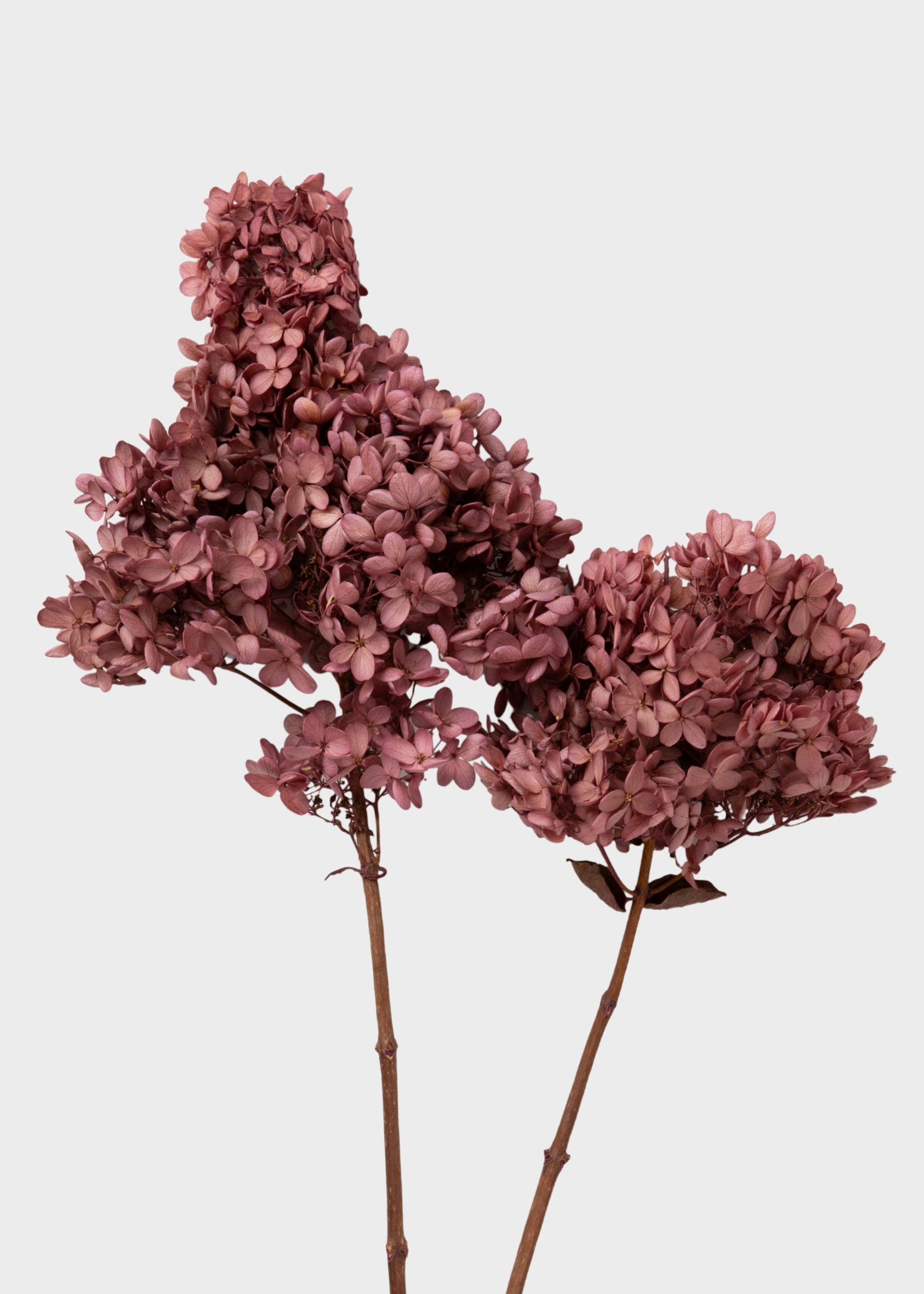 Mauve Faux Hydrangea Stem for Vase and Wedding Styling