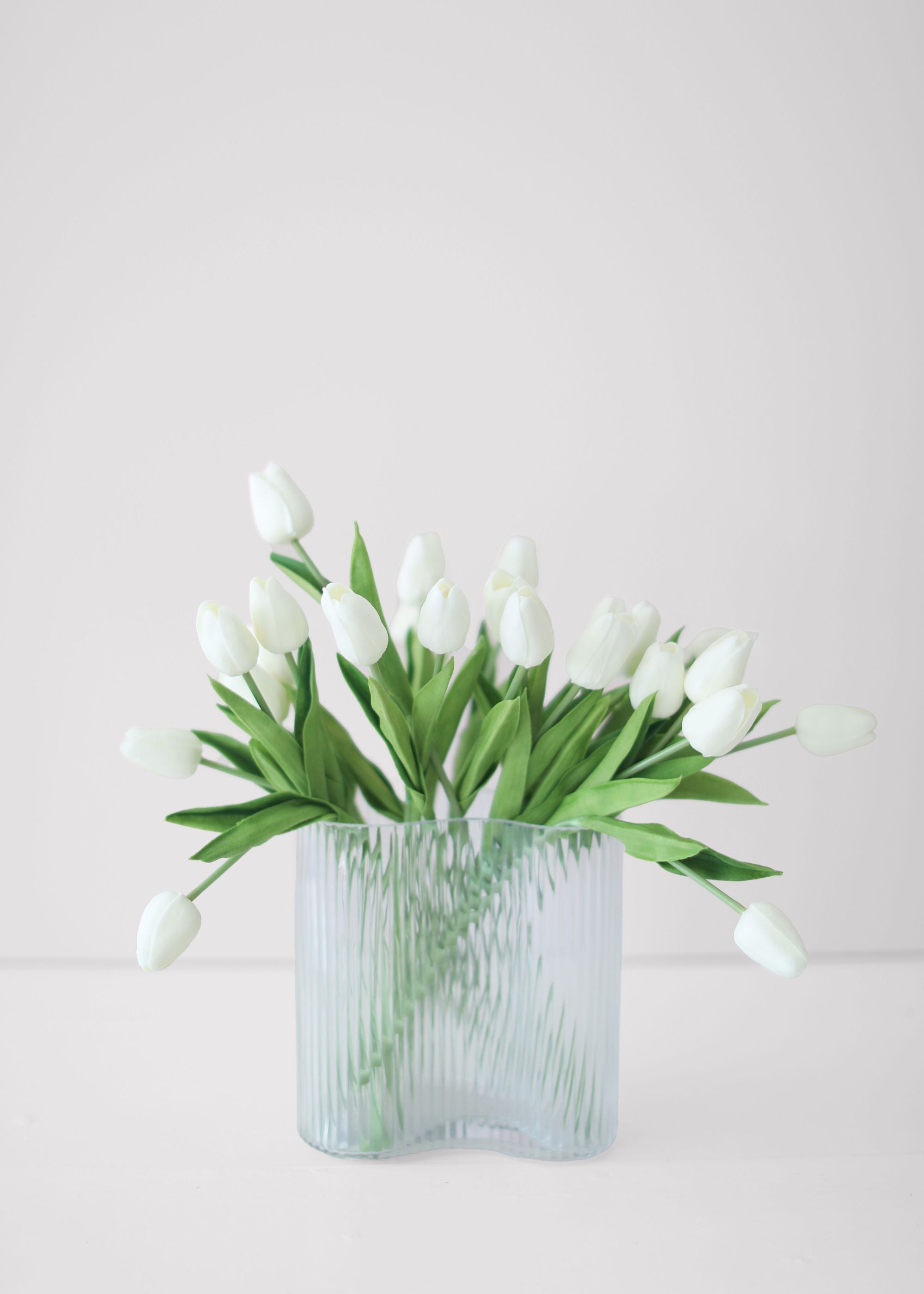 White Tulip for Home Styling
