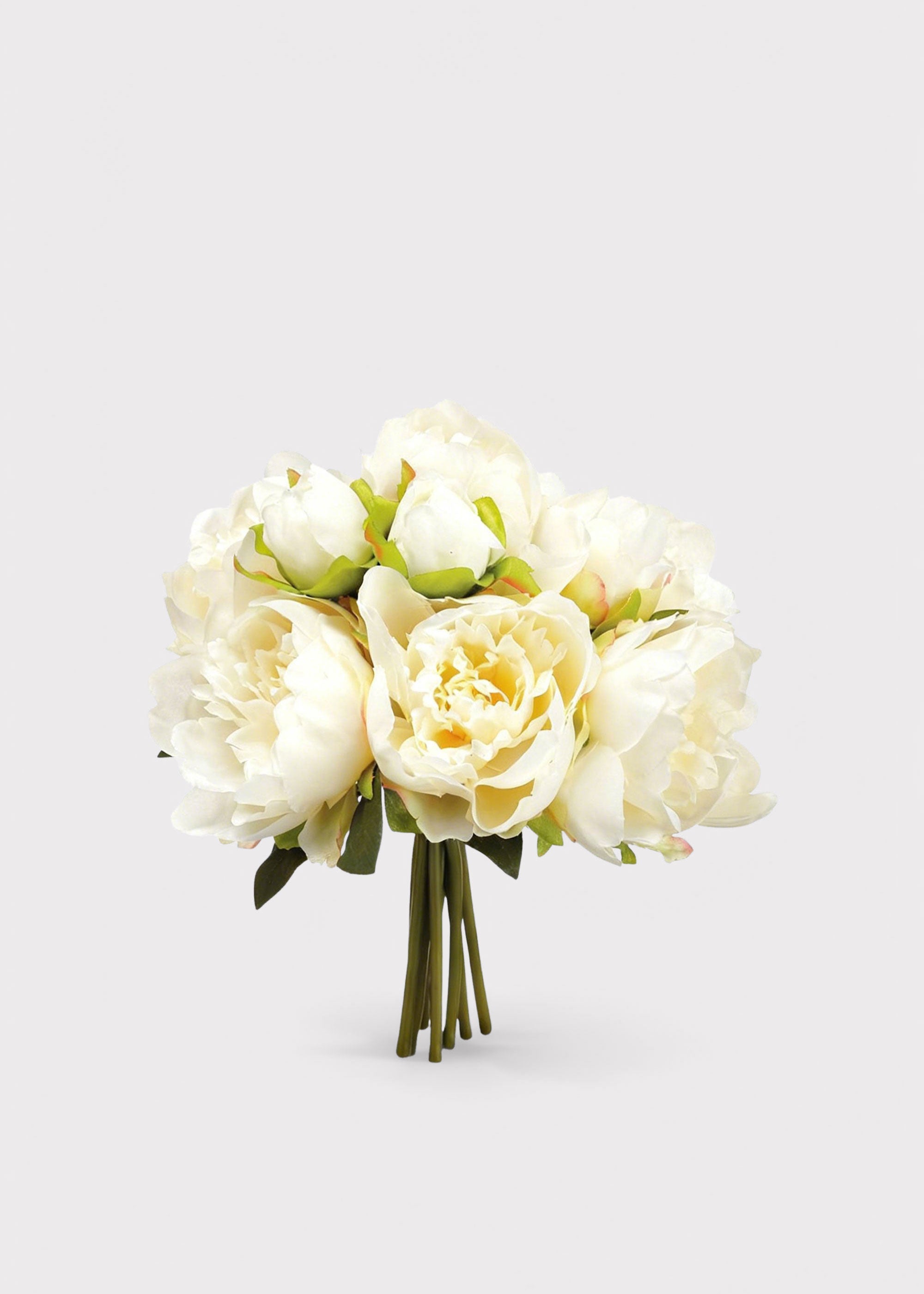Cream Peony for Home Styling