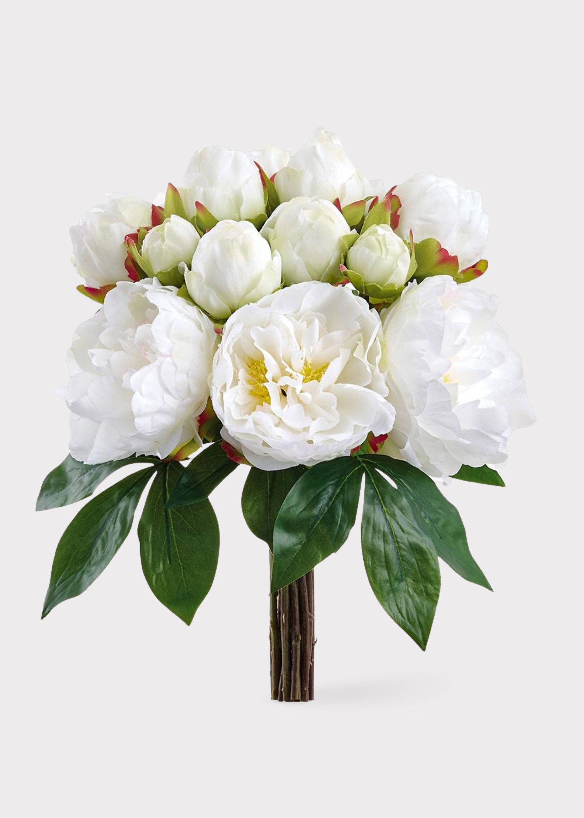 White Peony for Home Styling