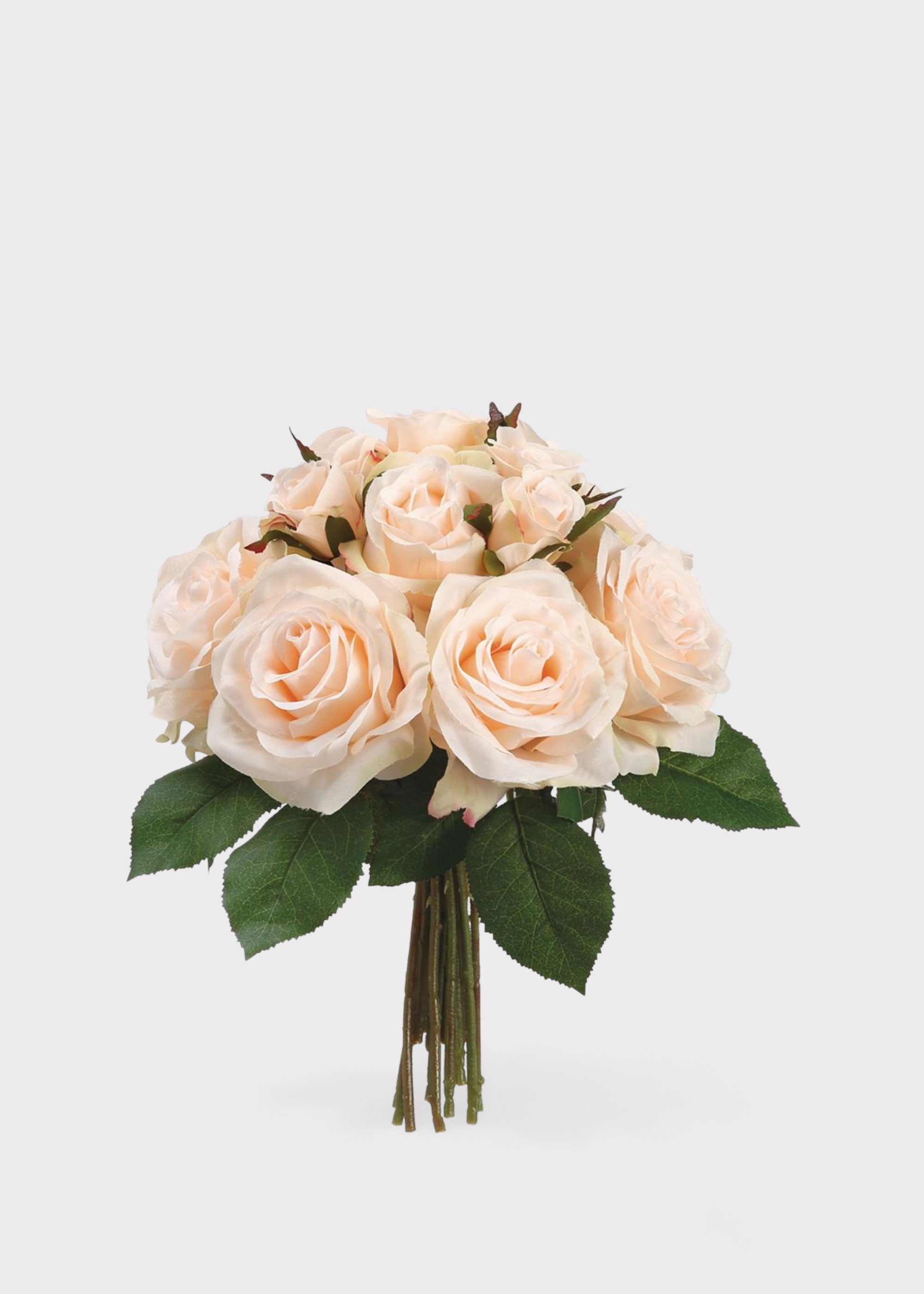 Peach Rose for Home Styling