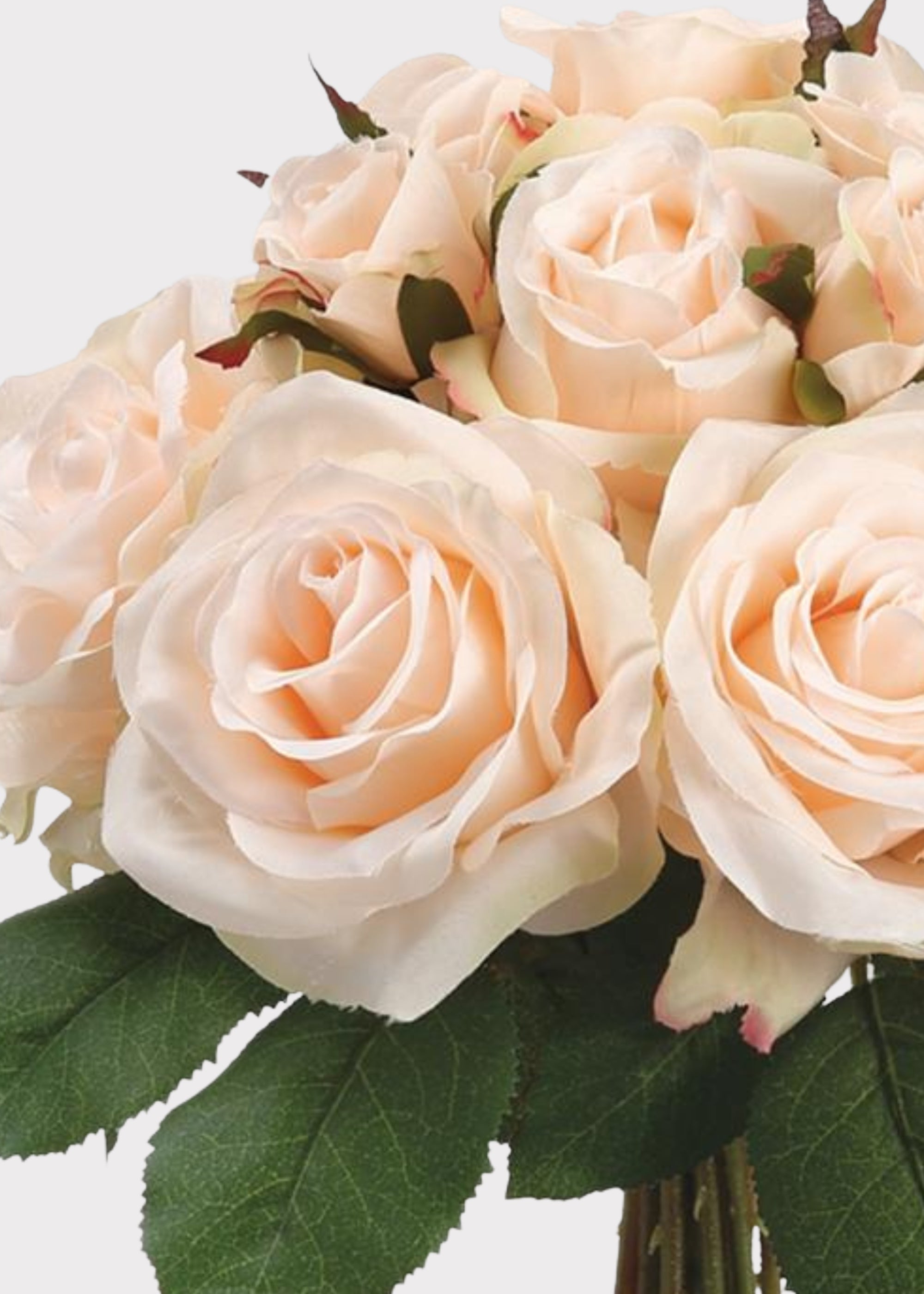 Peach Rose for Home Styling