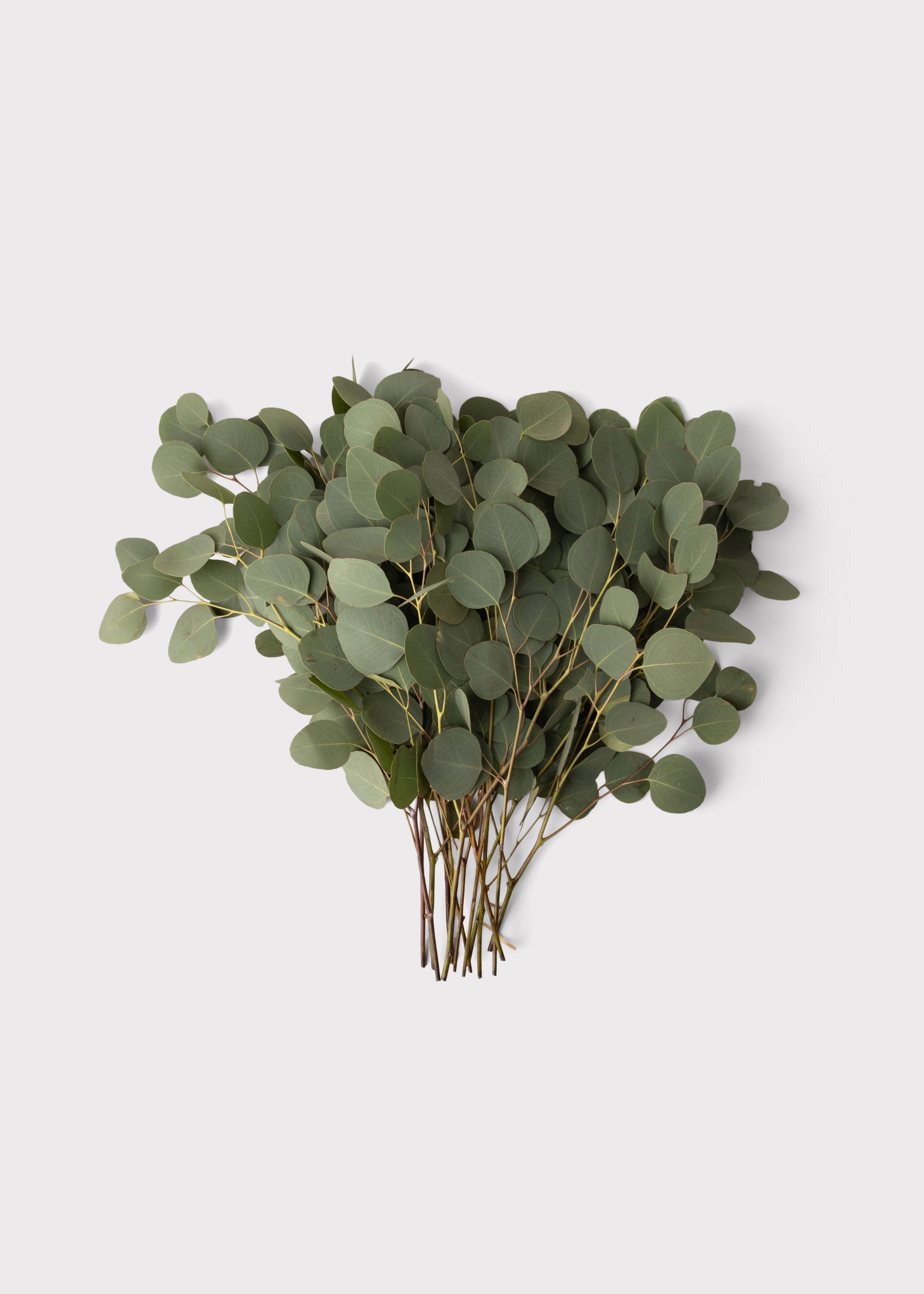 Silver Faux Eucalyptus Bundle for Vase Styling