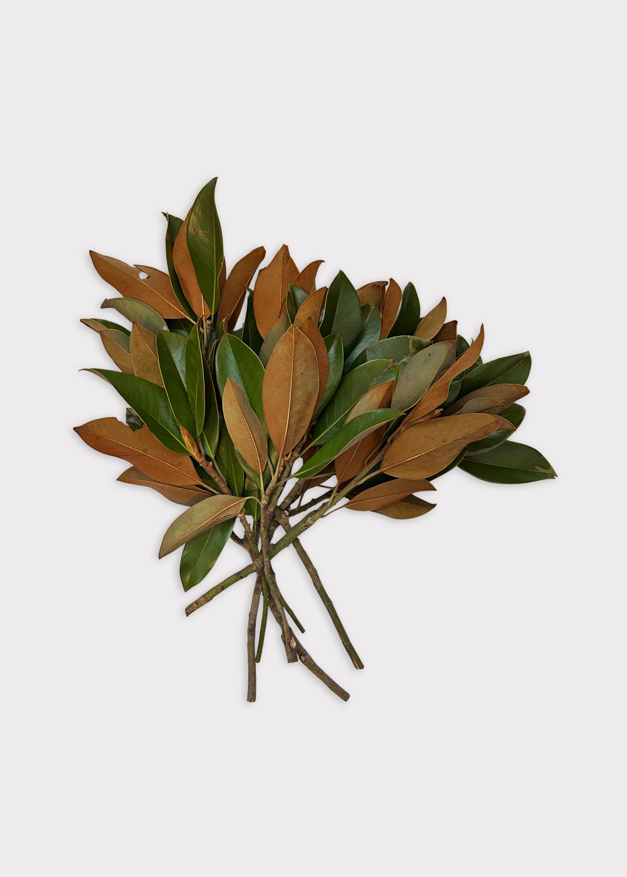 Faux Magnolia Bundle for Vase Styling