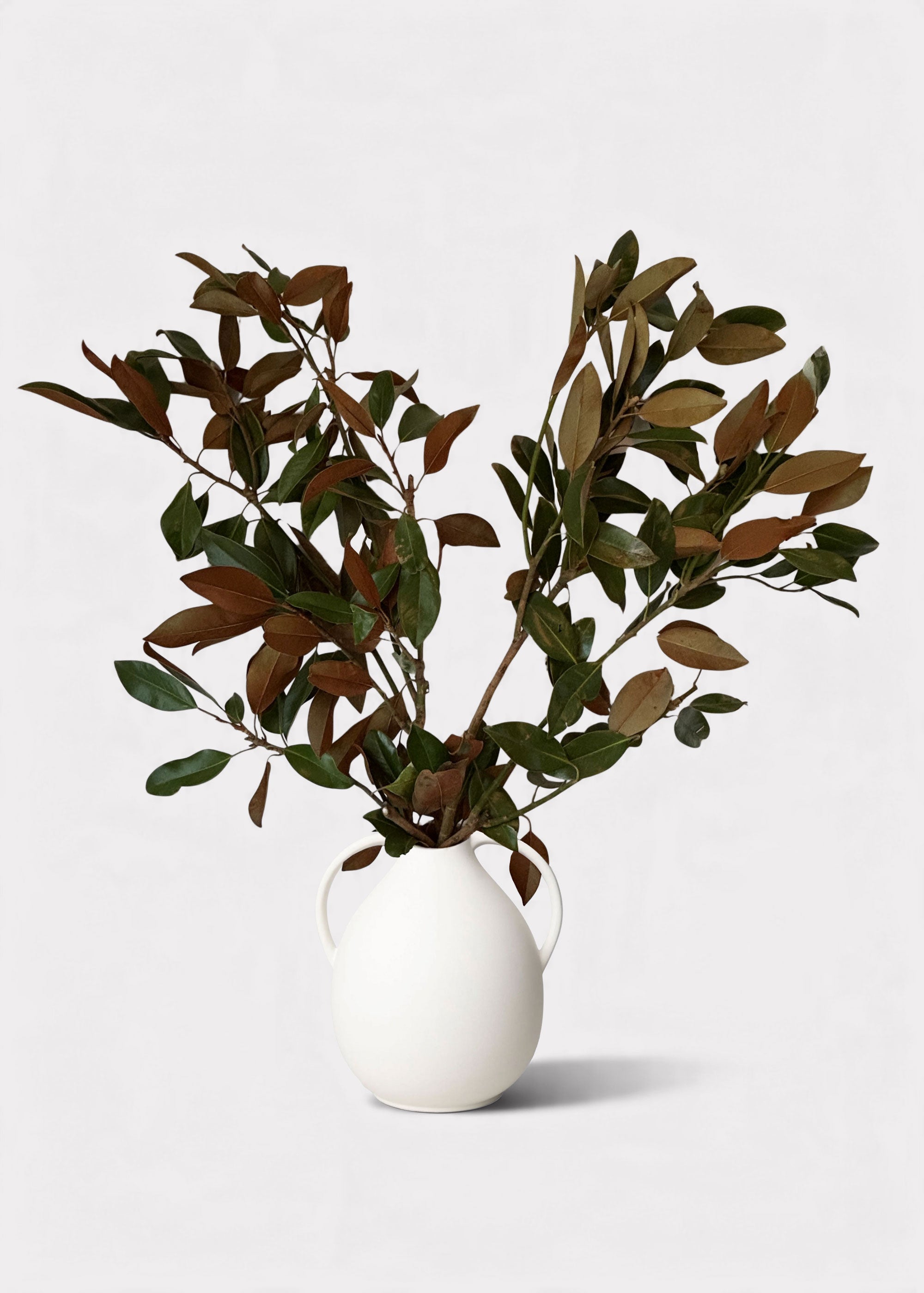 Faux Magnolia Branch for Vase Styling