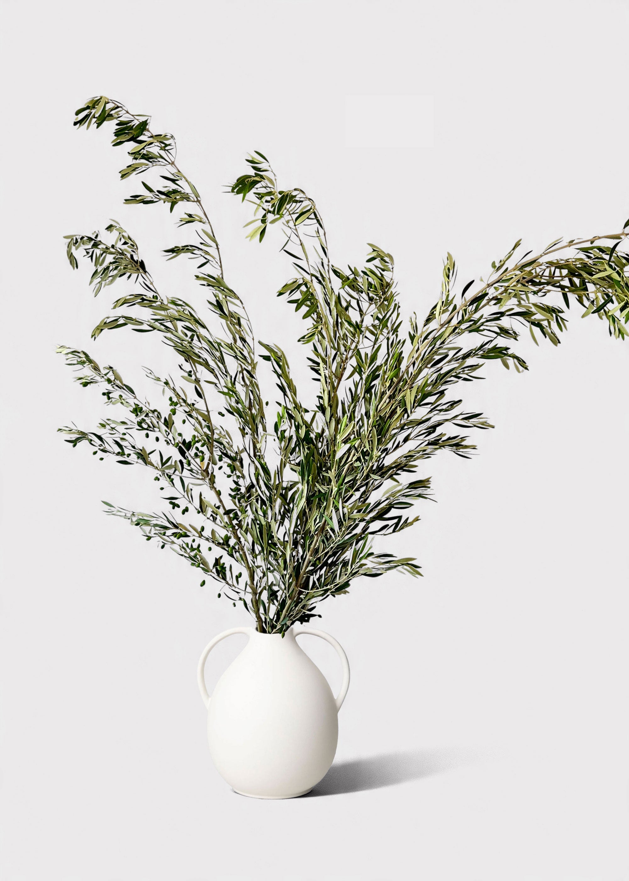 Green Faux Olive Branch for Vase Styling