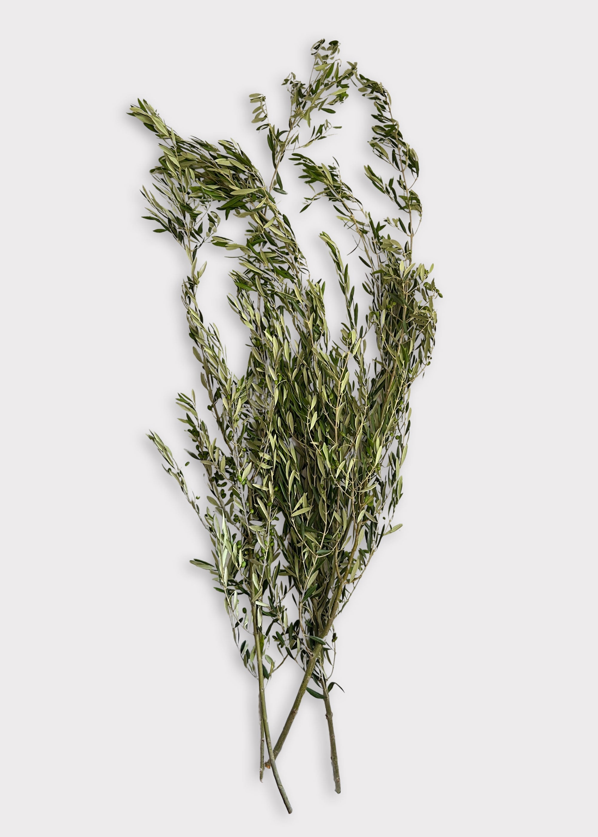 Green Faux Olive Branch for Vase Styling