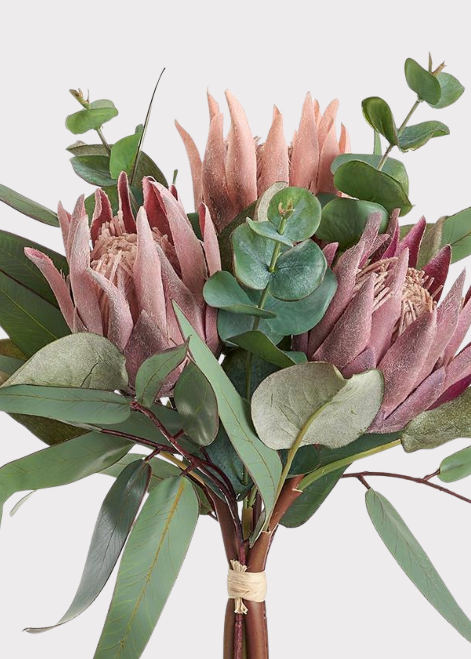 Mauve Protea, Eucalyptus for Home Styling