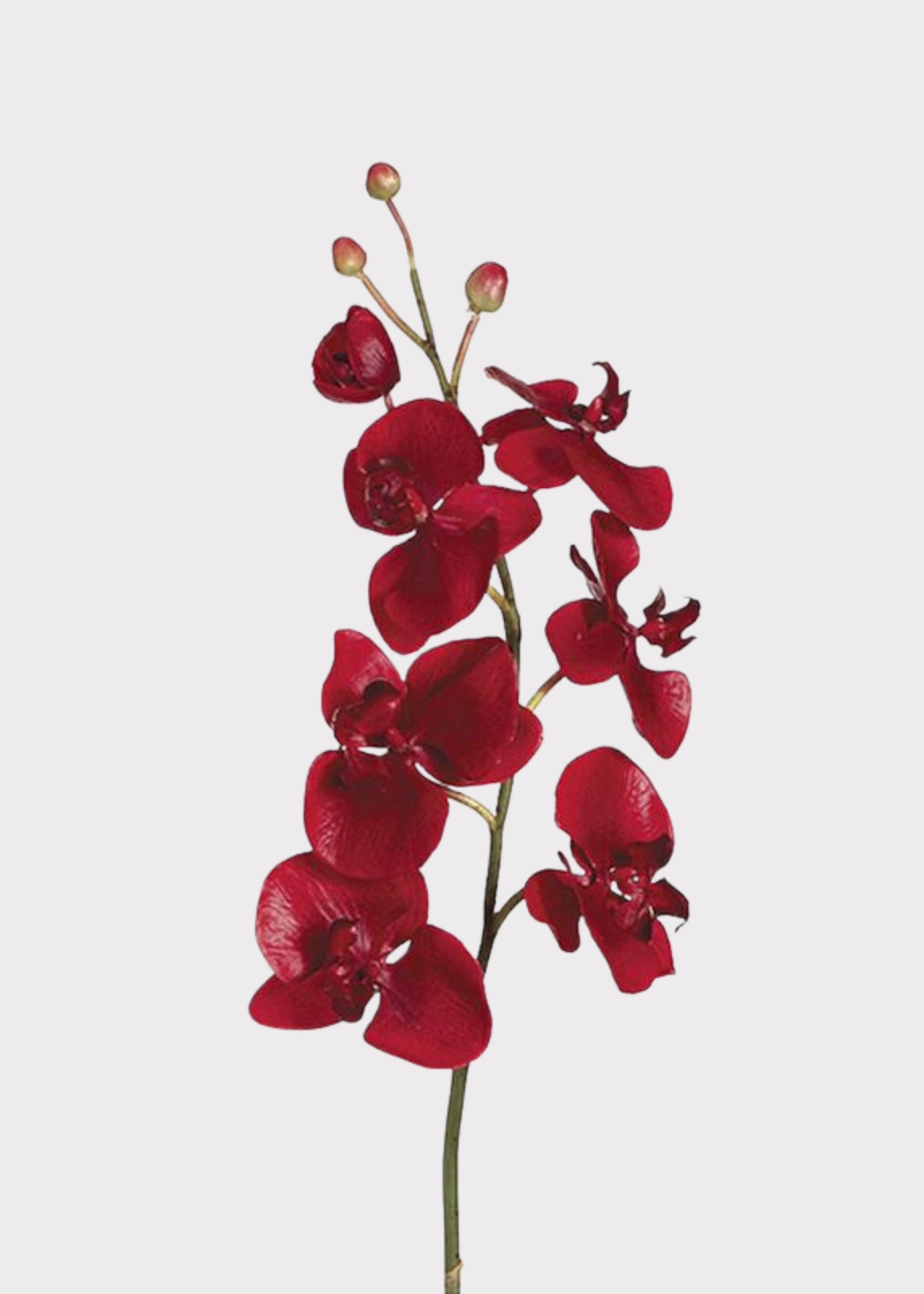 Red Faux Orchid Stem for Vase Styling