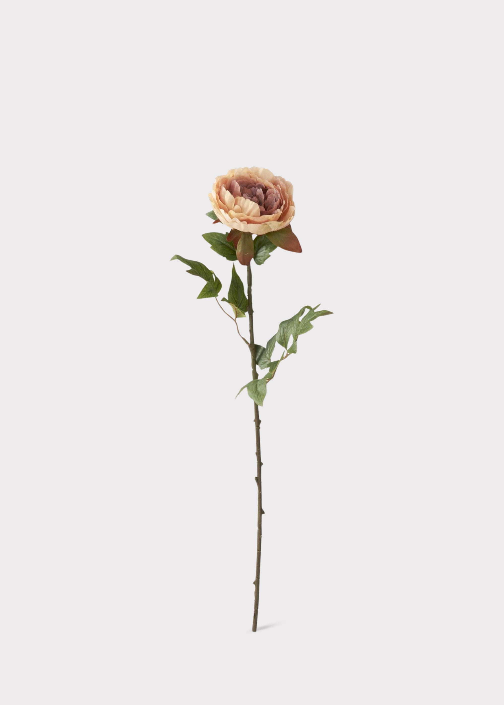 Mauve Real Touch Peony Stem for Vase and Wedding Styling