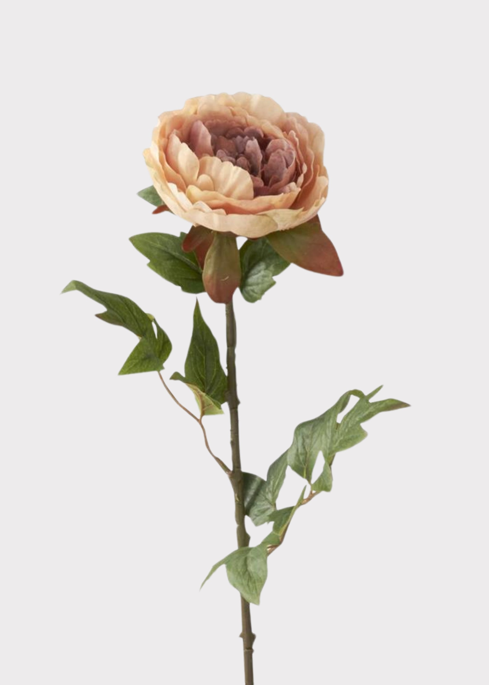 Mauve Real Touch Peony Stem for Vase and Wedding Styling
