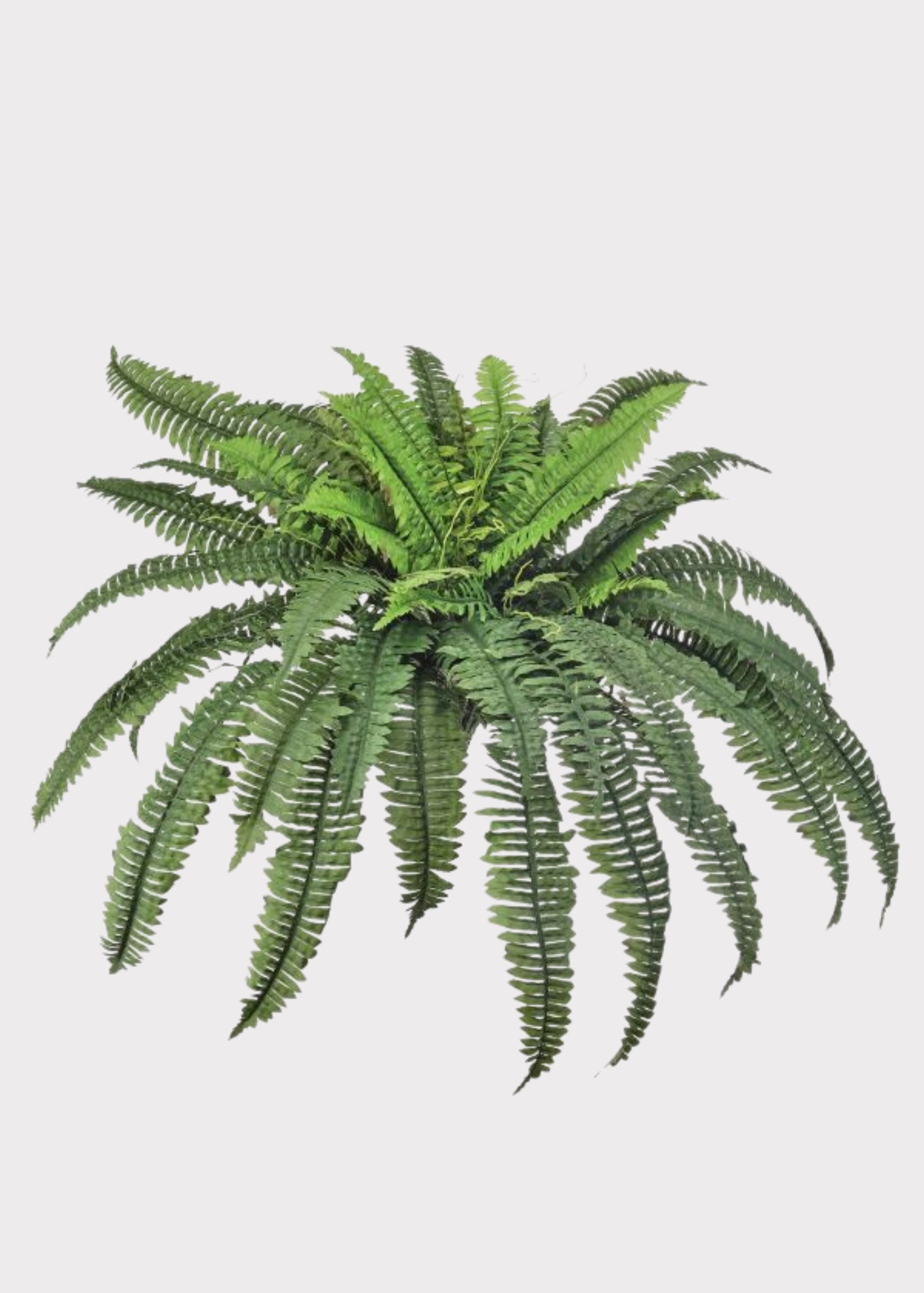 Faux Fern Bush for Vase Styling