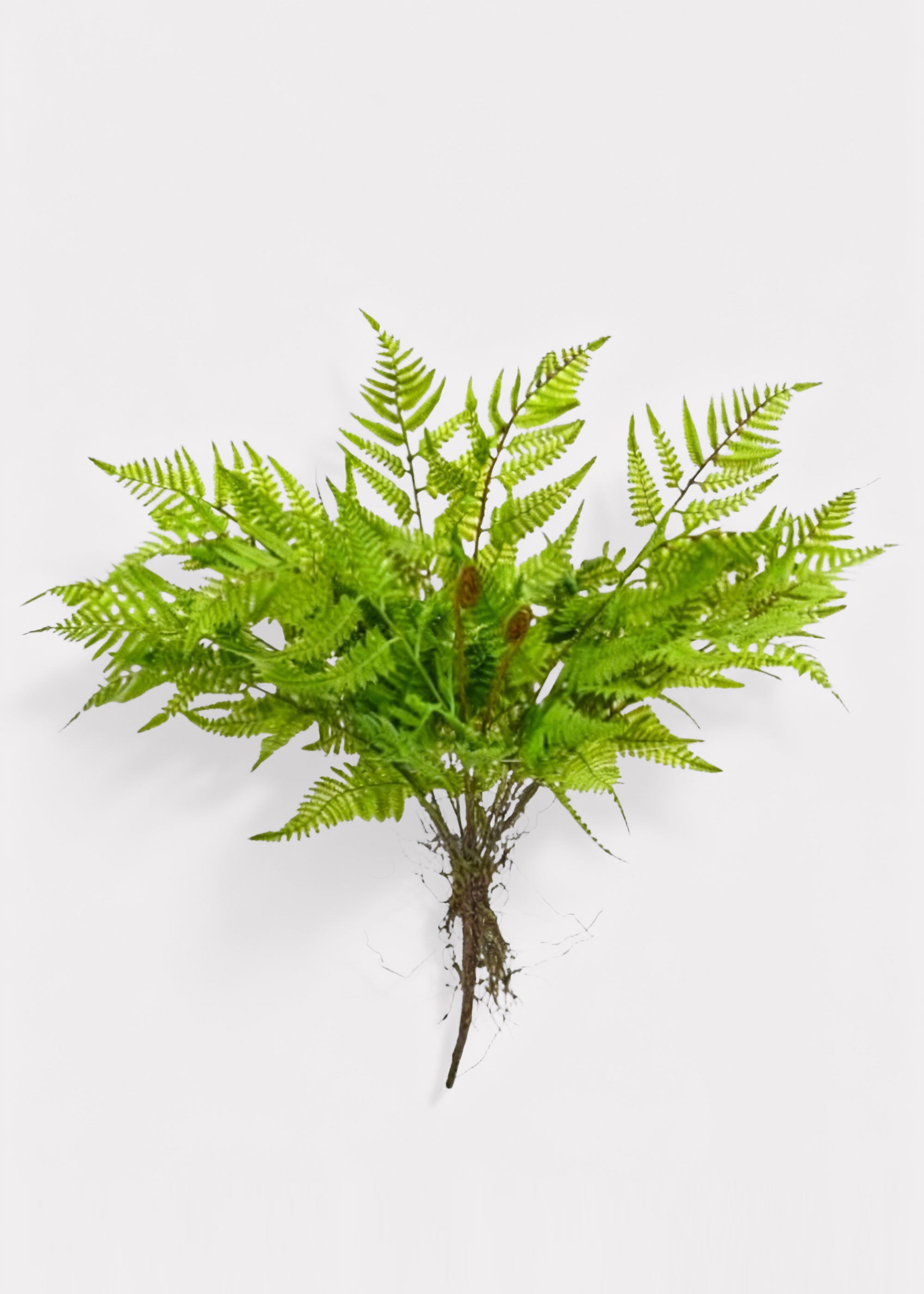 Faux Fern Bush for Vase Styling