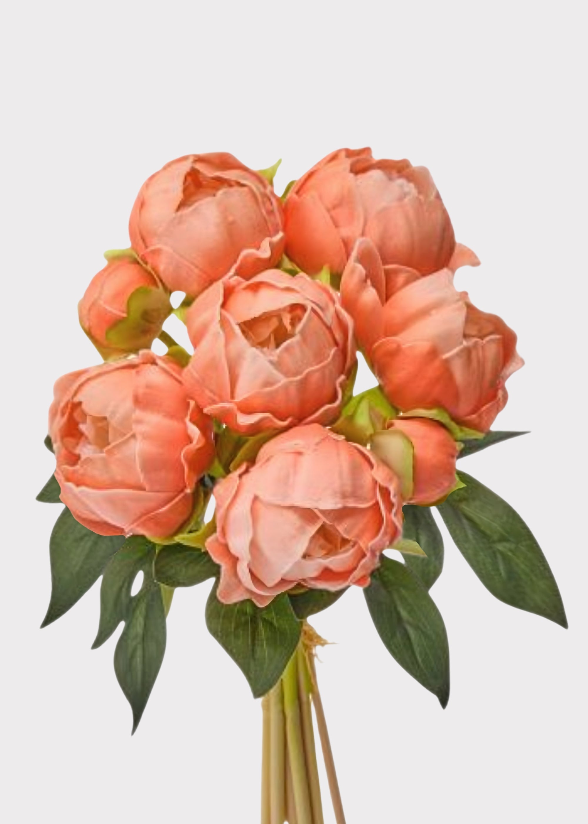 Peach Real Touch Peony Bundle for Vase and Wedding Styling
