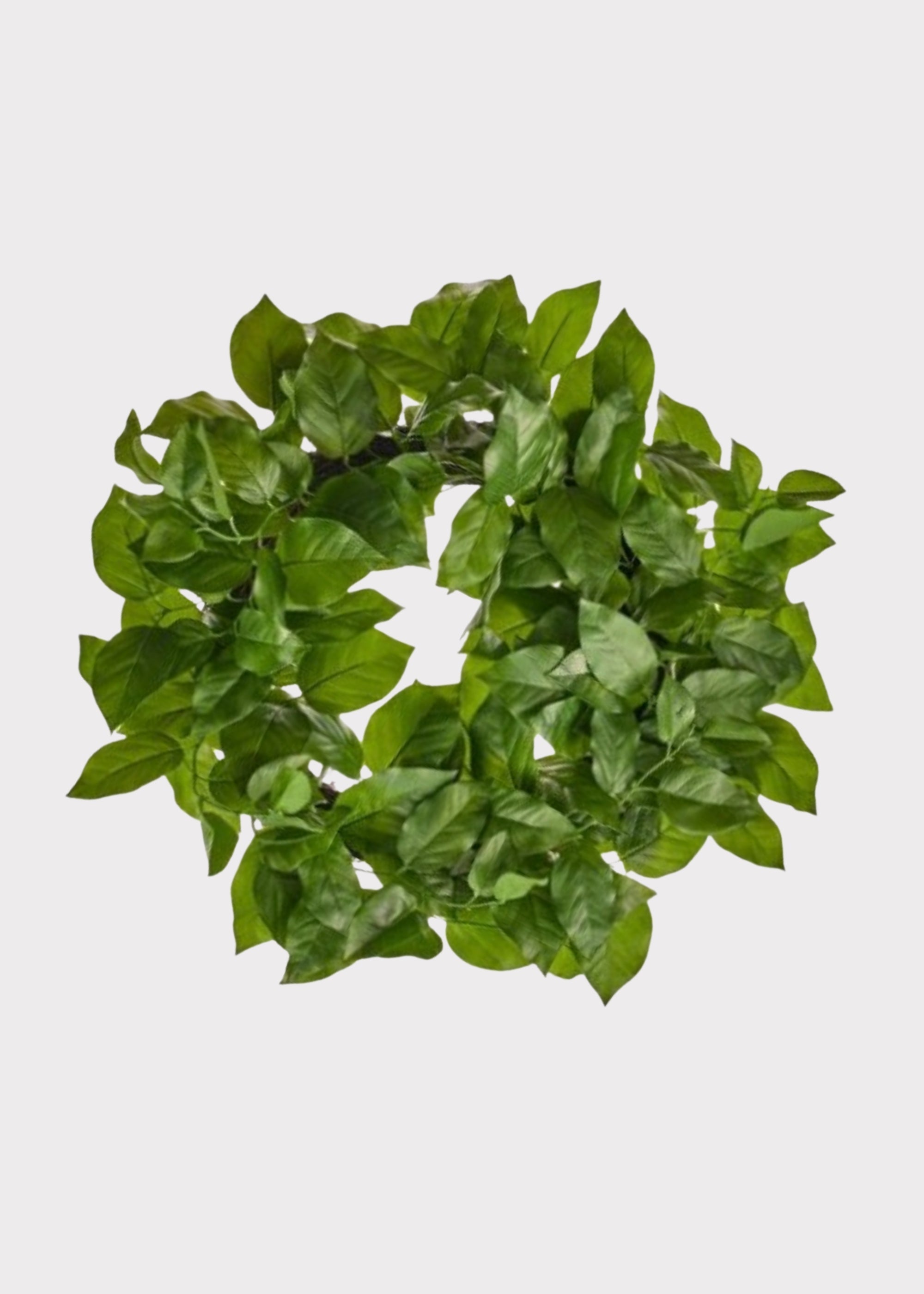 Real Touch Uv Treated Indoor/outdoor Salal Leaf Wreath for Door and Wall Decor