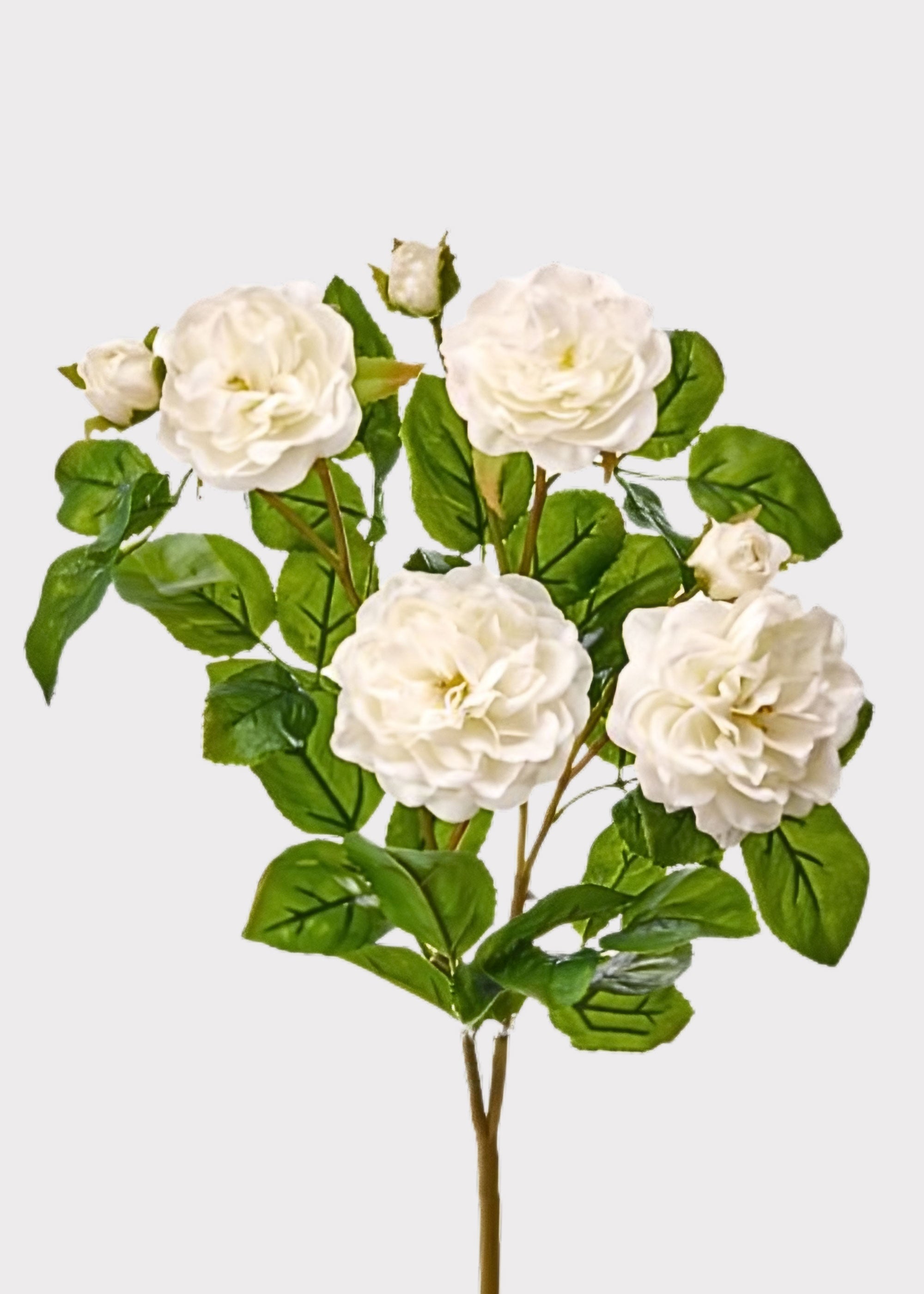 White Real Touch Rose Bush for Vase Styling