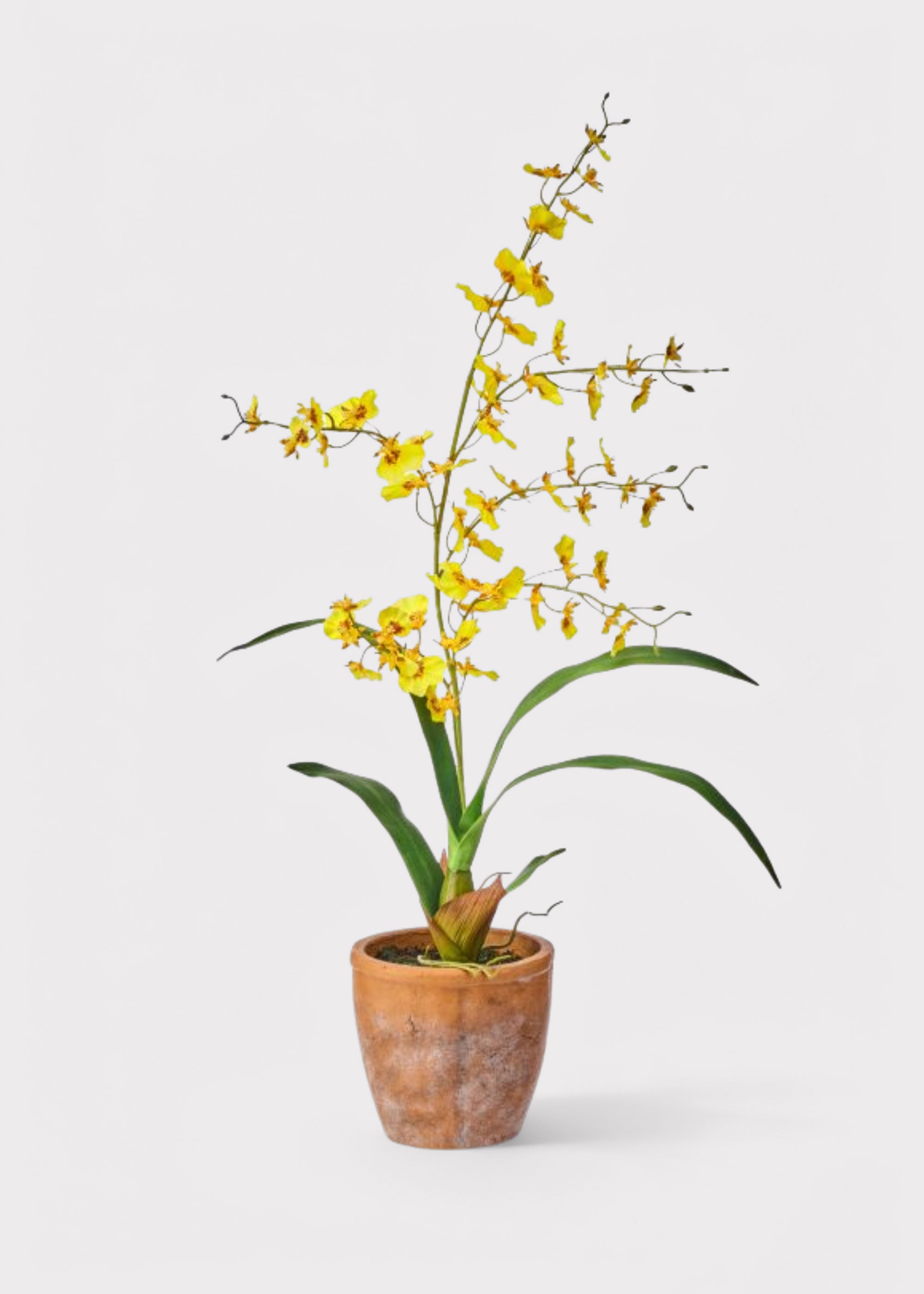 Yellow Faux Orchid Arrangement for Home Decor
