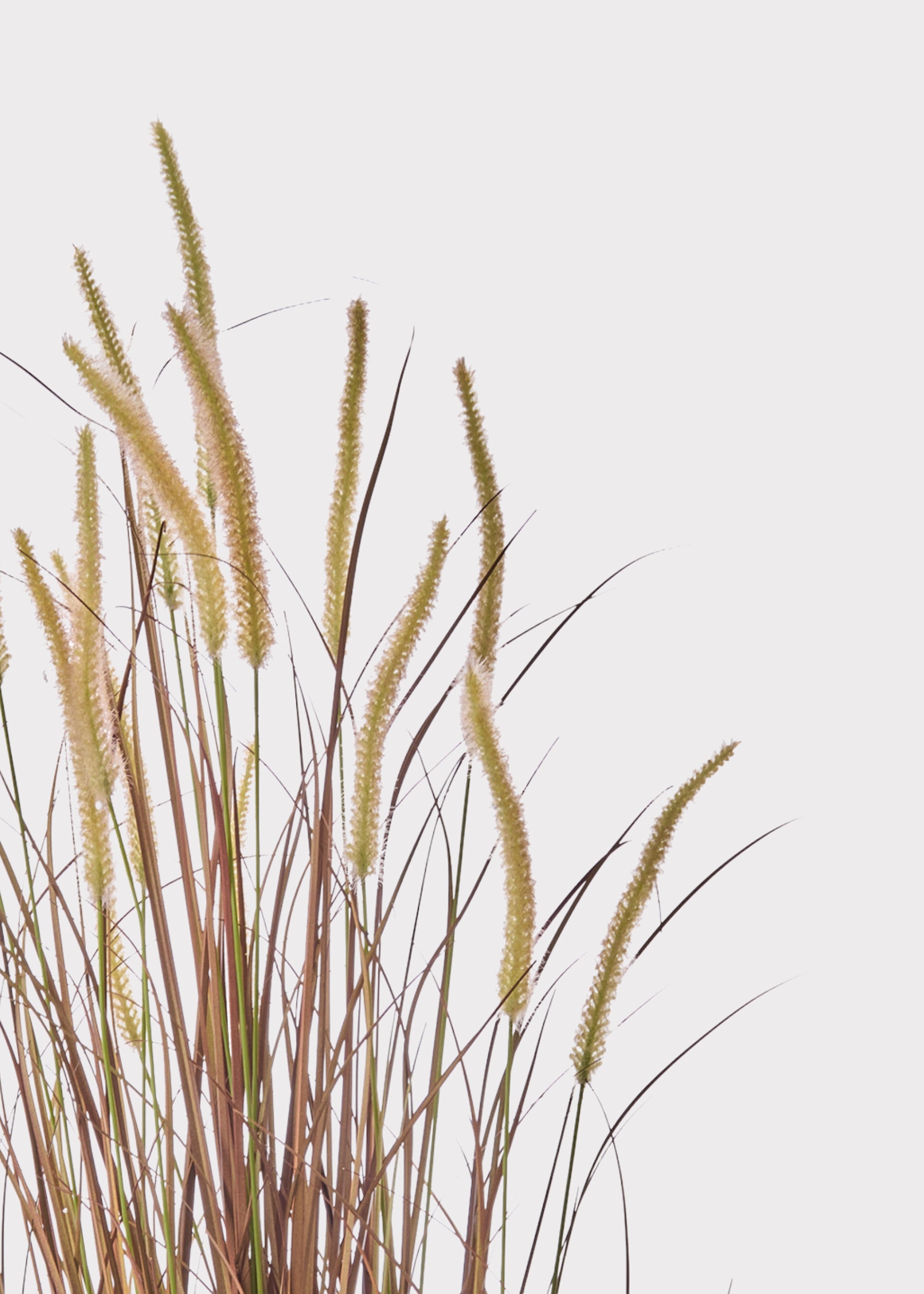 Brown Faux Grass Arrangement for Home Decor