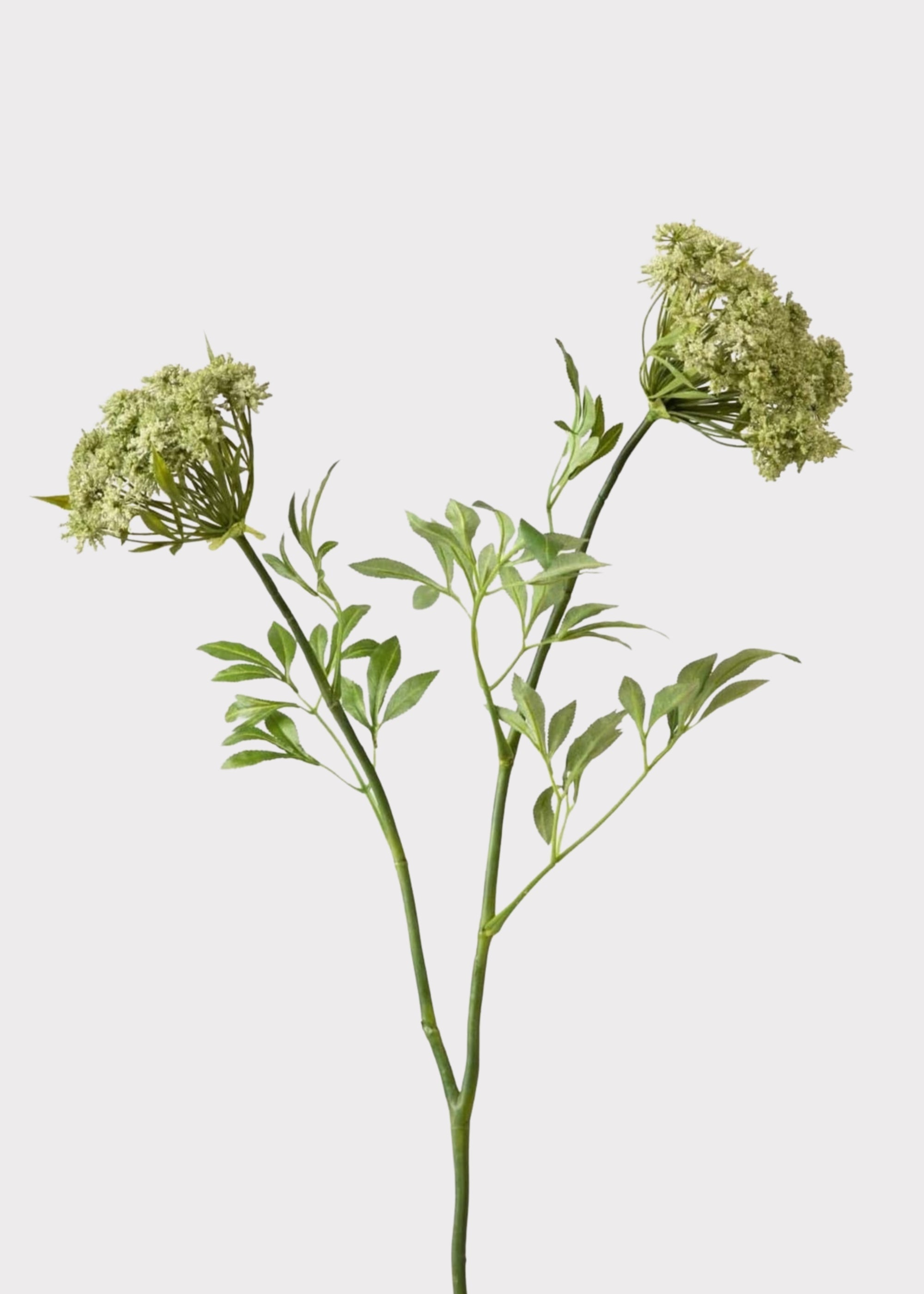 Faux Save - Queen Anne's Lace Wildflowers Stem for Vase Styling