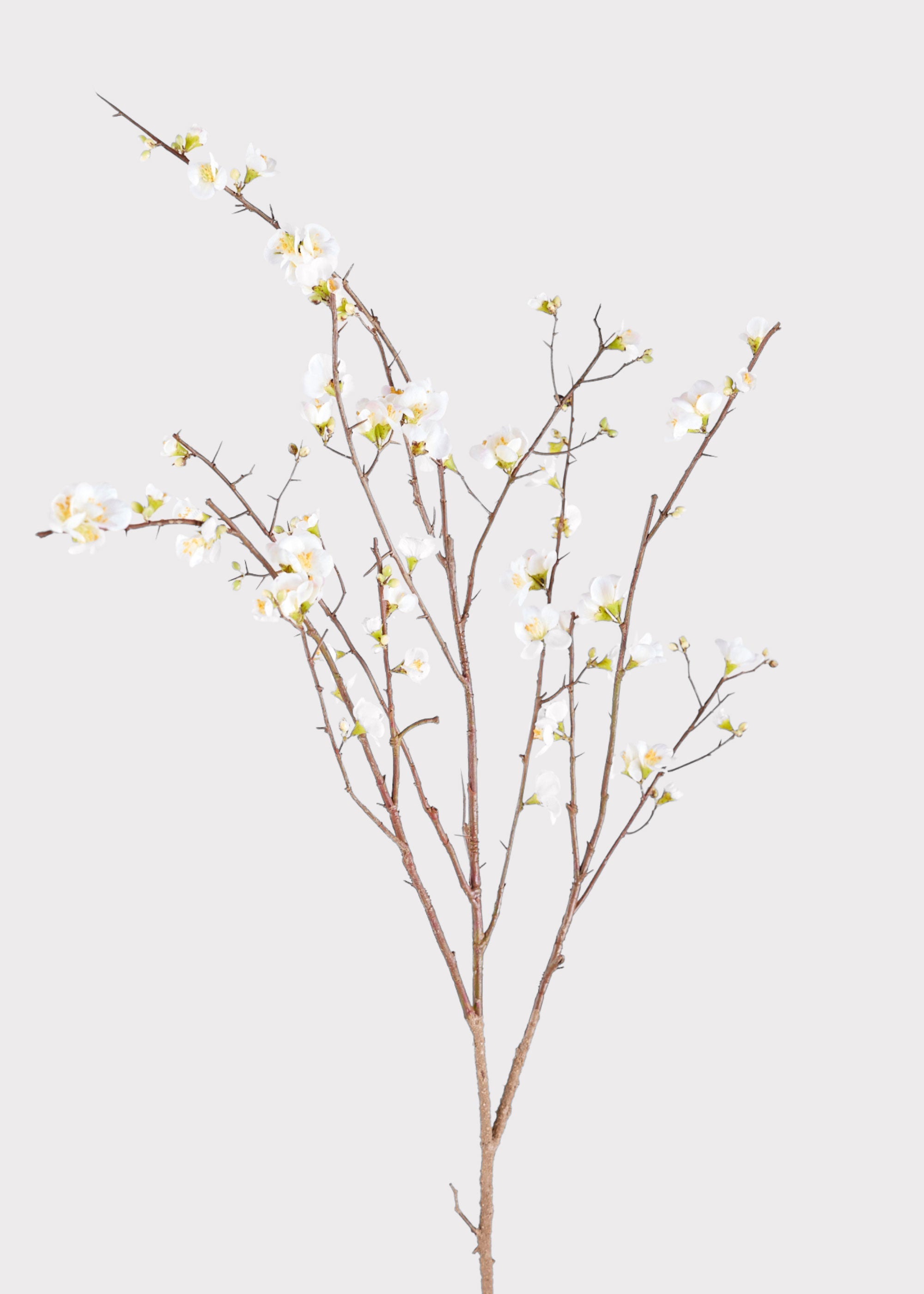 Cream Faux Cherry Blossom Branch for Vase Styling