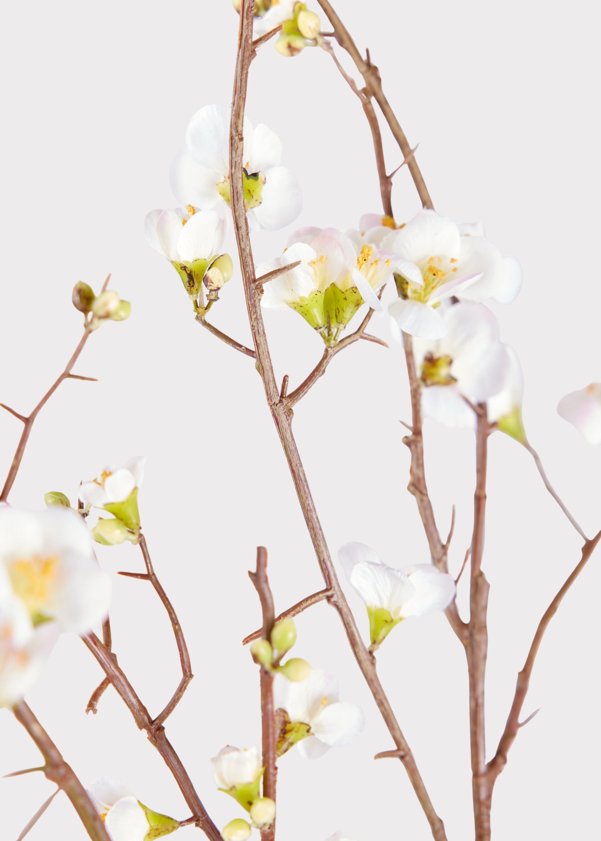 Cream Faux Cherry Blossom Branch for Vase Styling