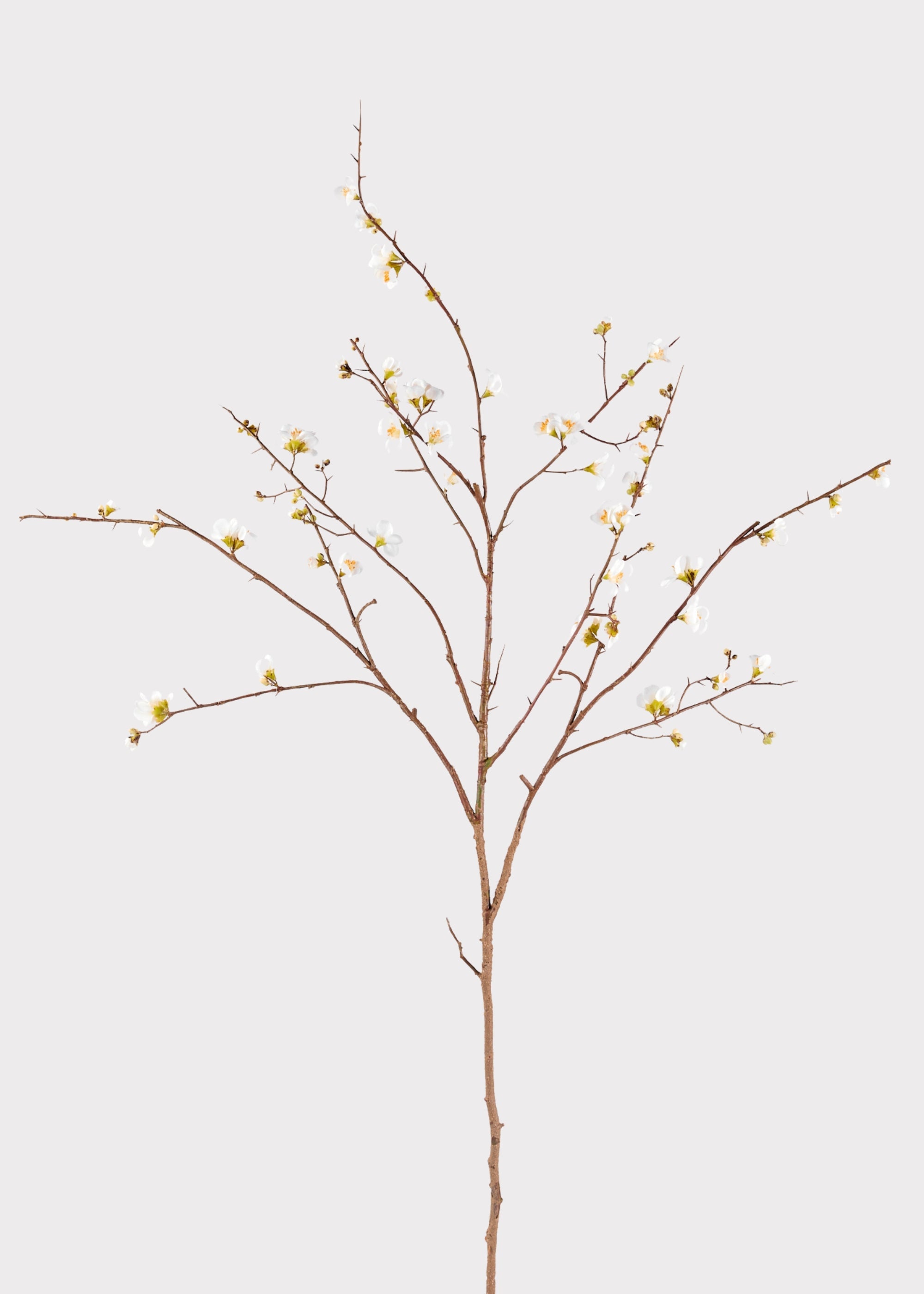 Cream Faux Cherry Blossom Branch for Vase Styling
