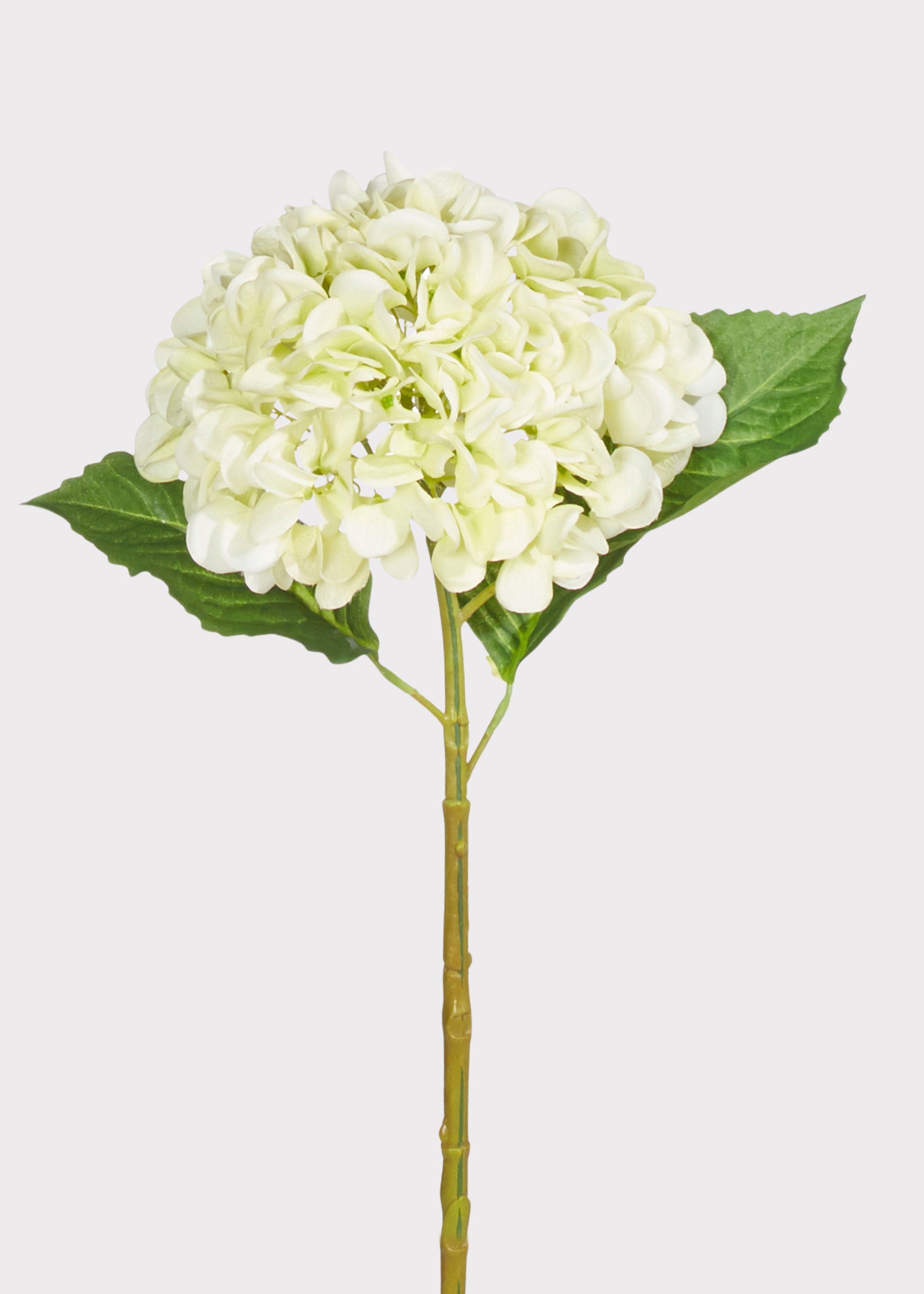 Green Real Touch Hydrangea Stem for Vase Styling