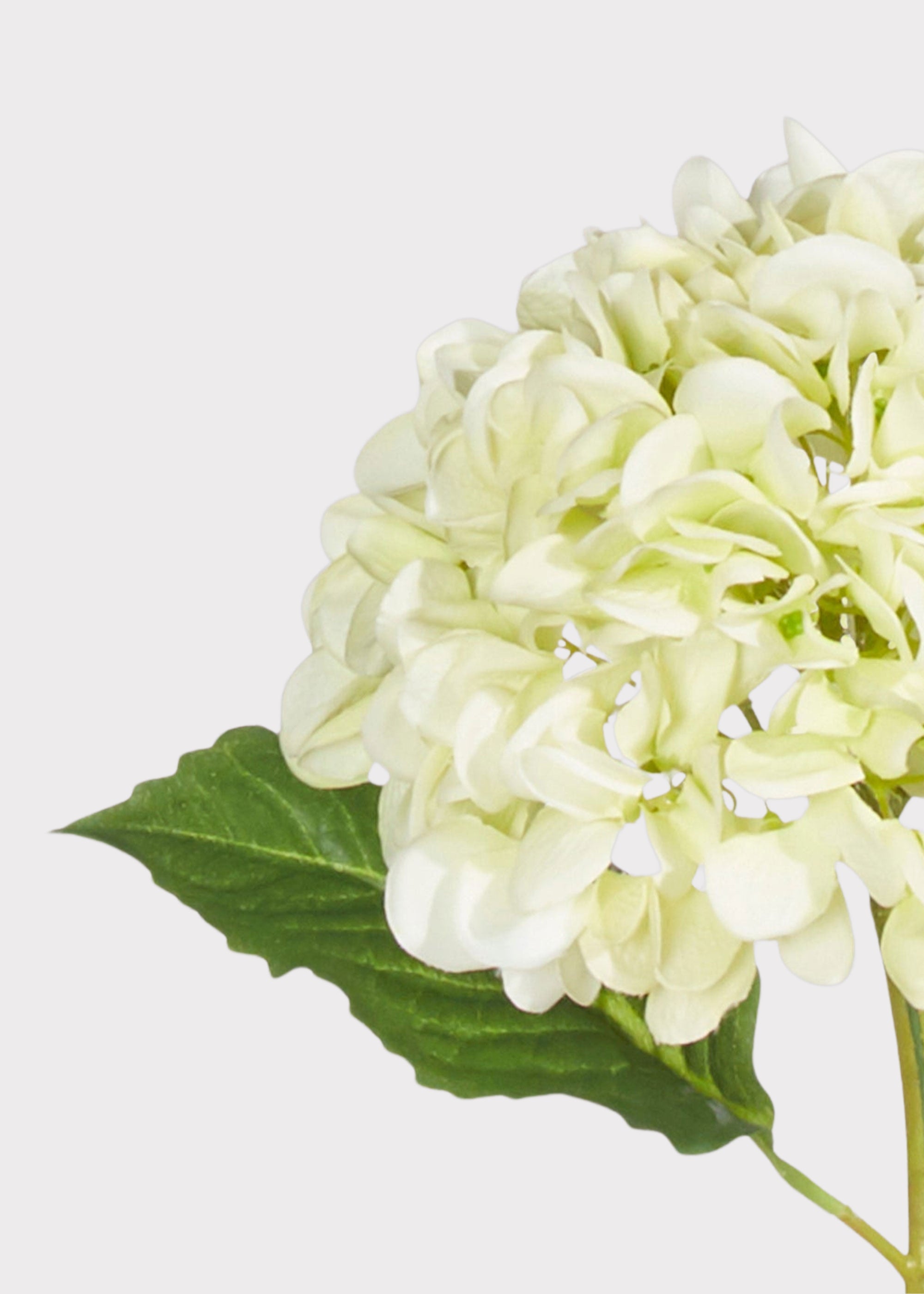 Green Real Touch Hydrangea Stem for Vase Styling