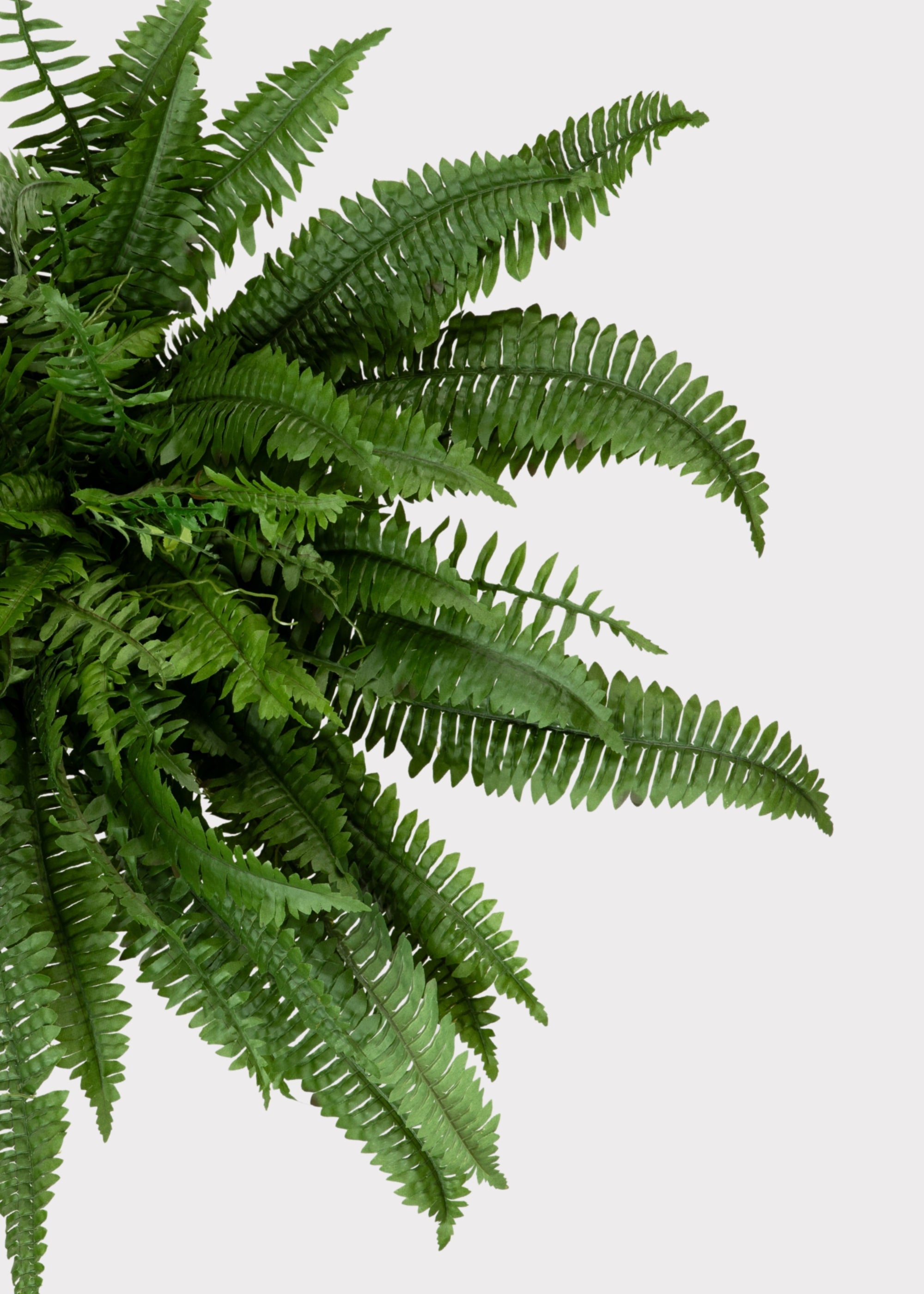 Faux Fern Bush for Vase Styling