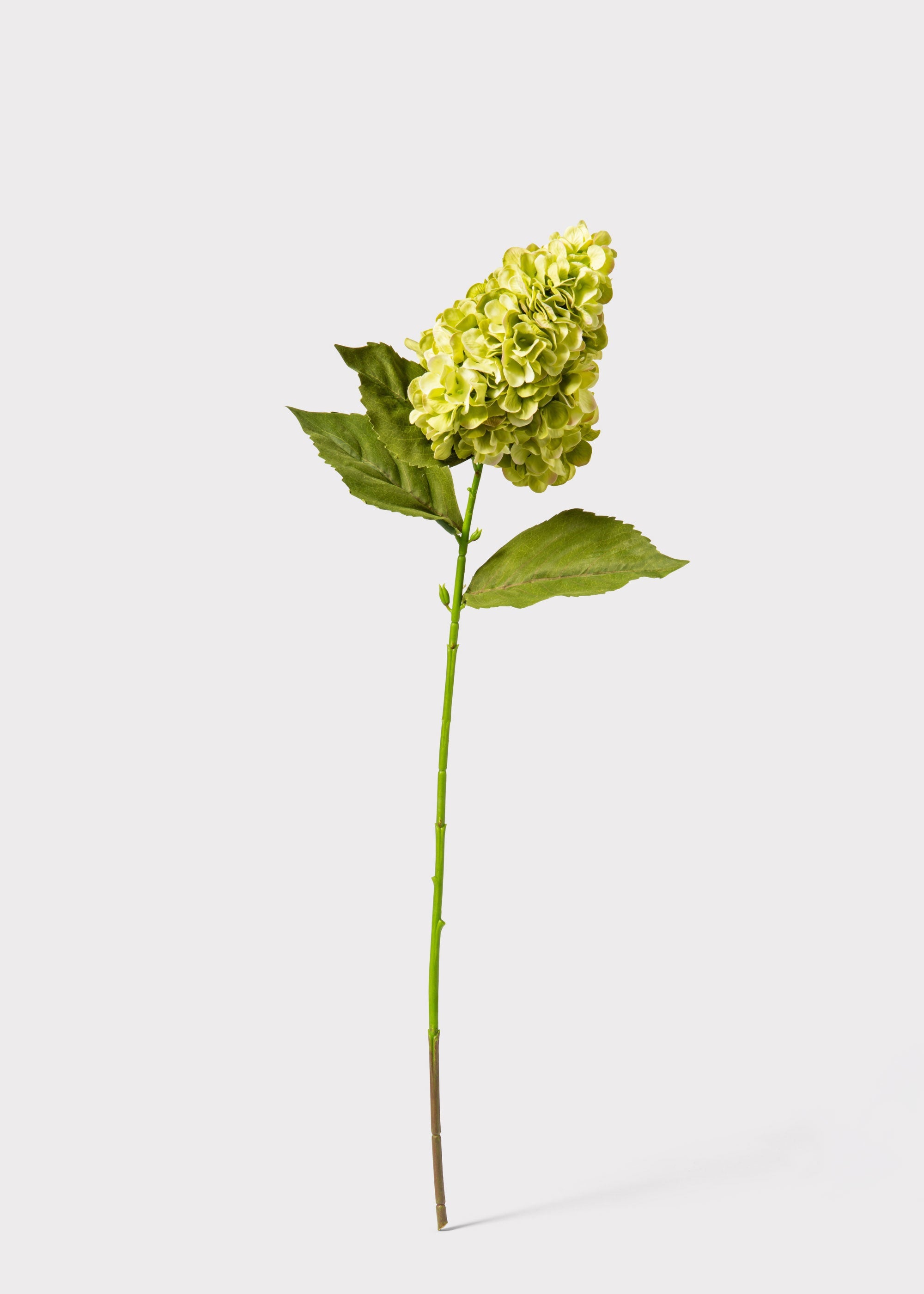 Green Faux Hydrangea Stem for Vase Styling