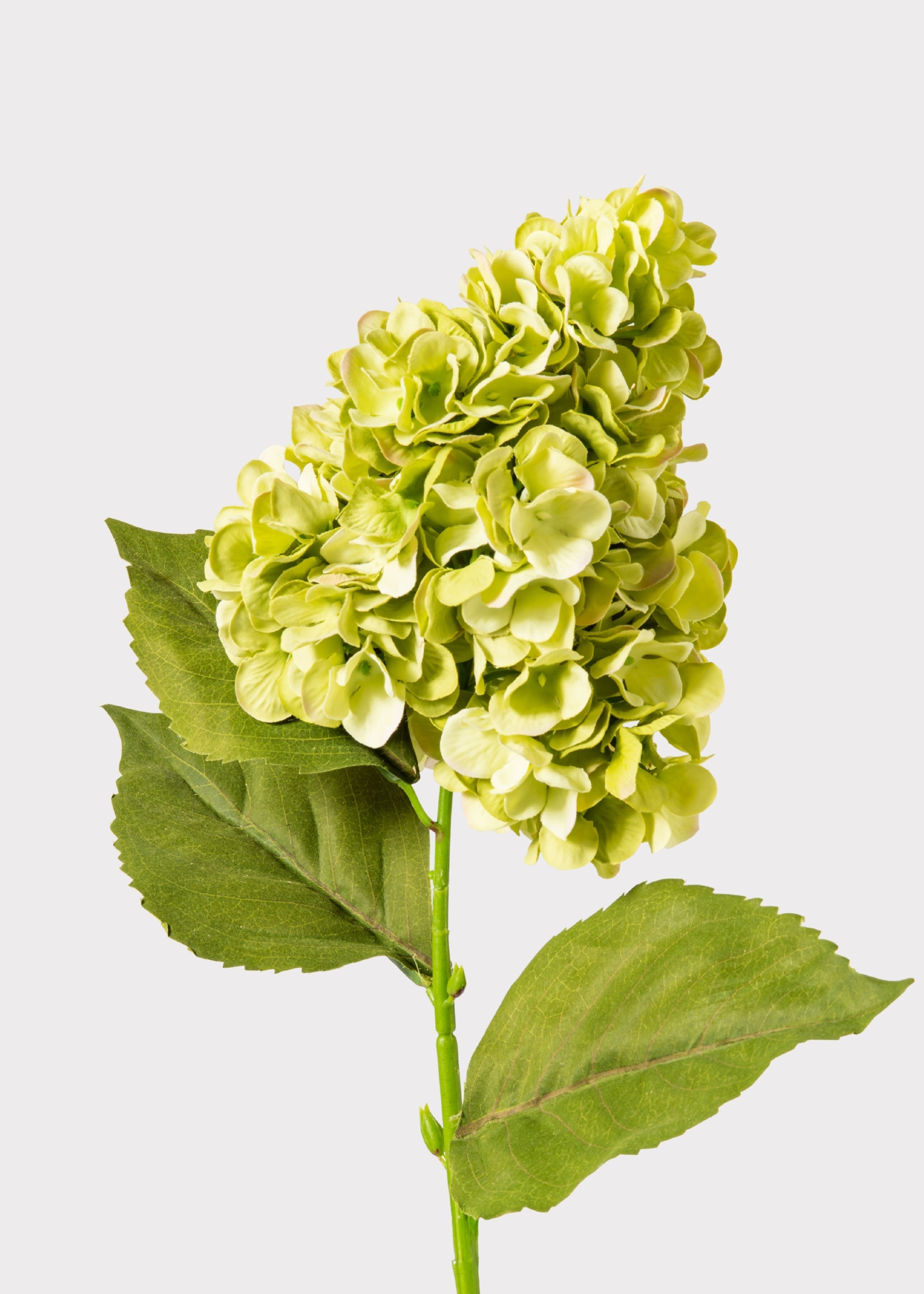 Green Faux Hydrangea Stem for Vase Styling