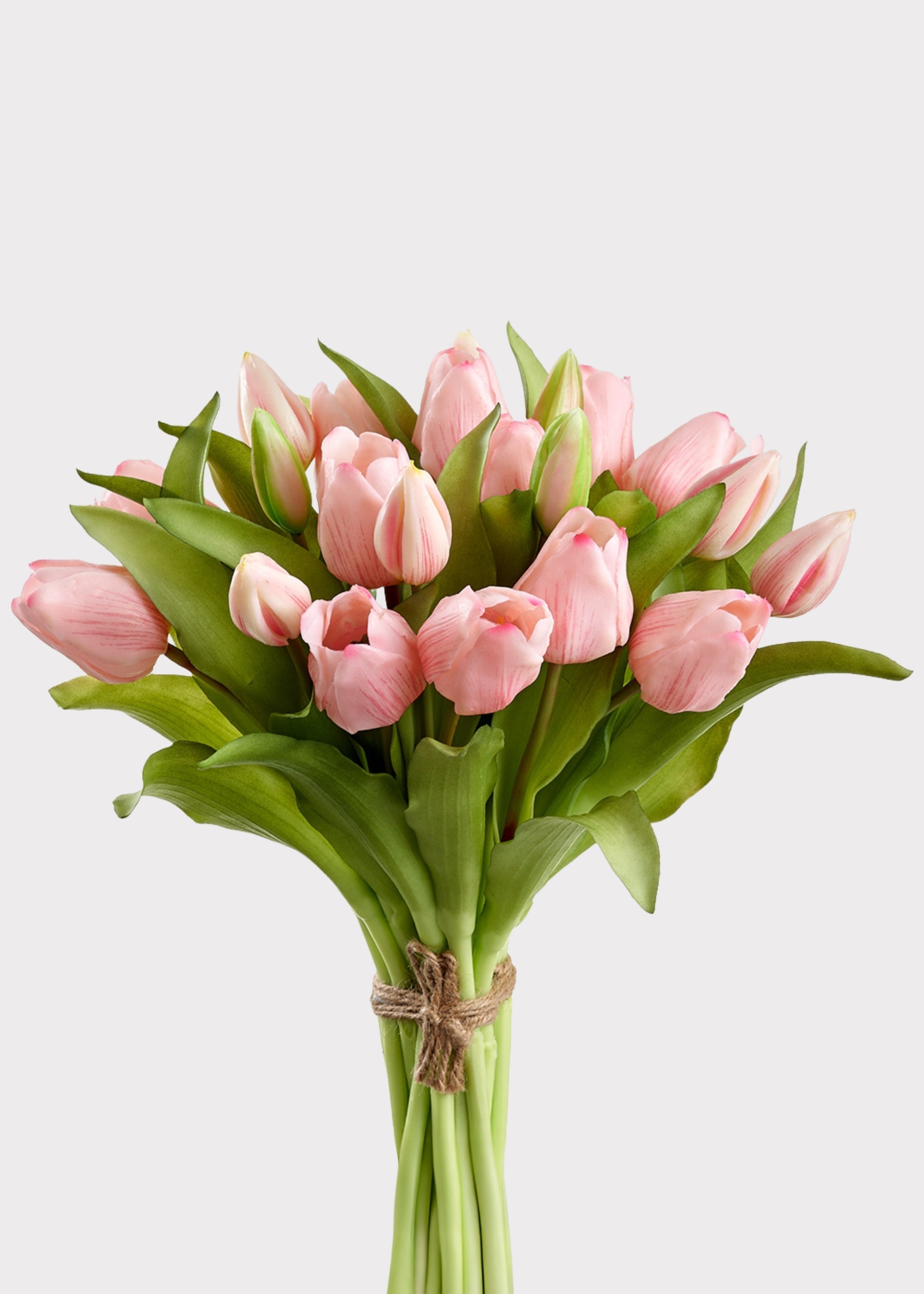 Pink Tulip for Home Styling