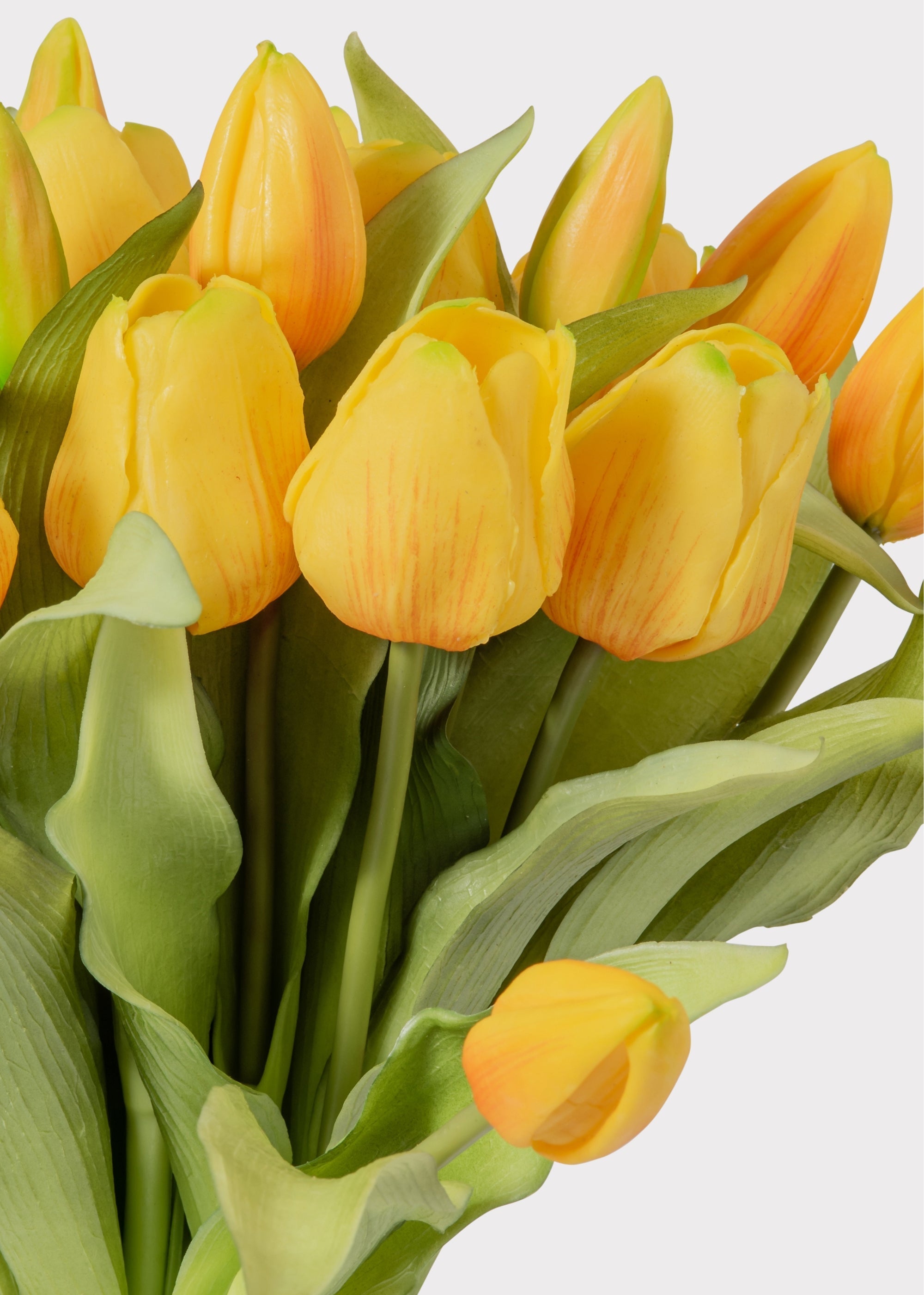 Yellow Tulip for Home Styling